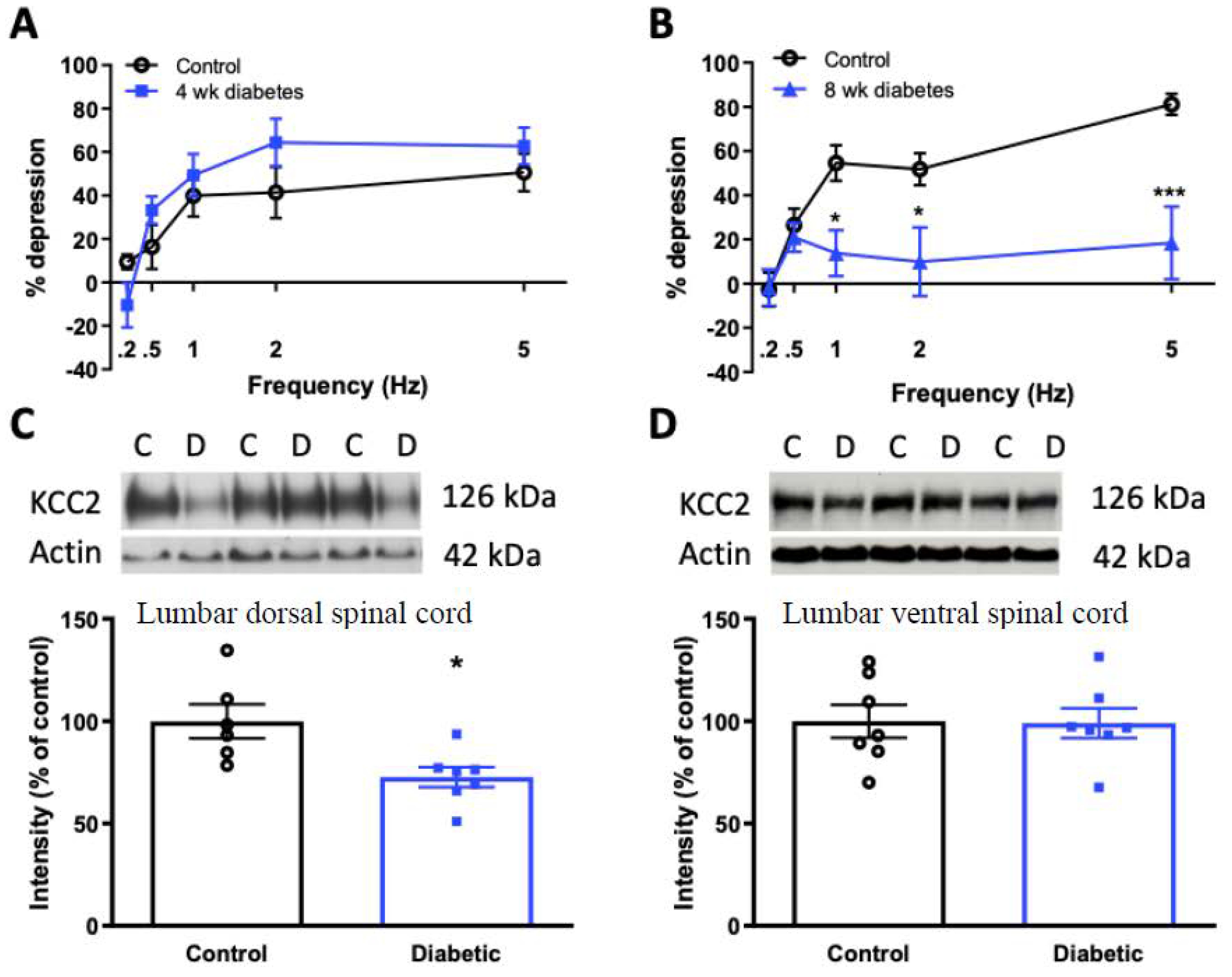 Diagnostics 11 00283 g002 Diagnostics 11 00283 g002