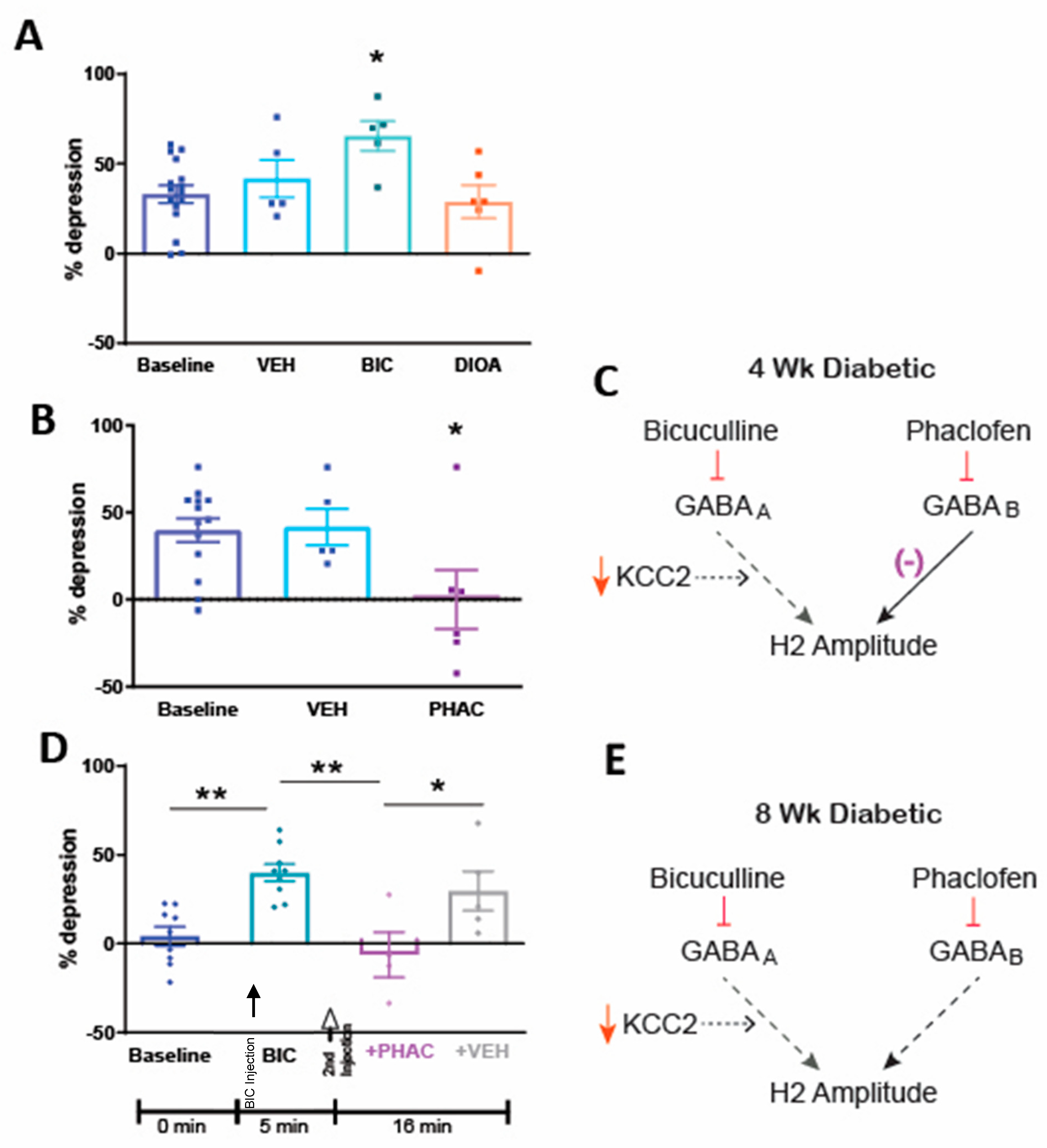 Diagnostics 11 00283 g003 Diagnostics 11 00283 g003