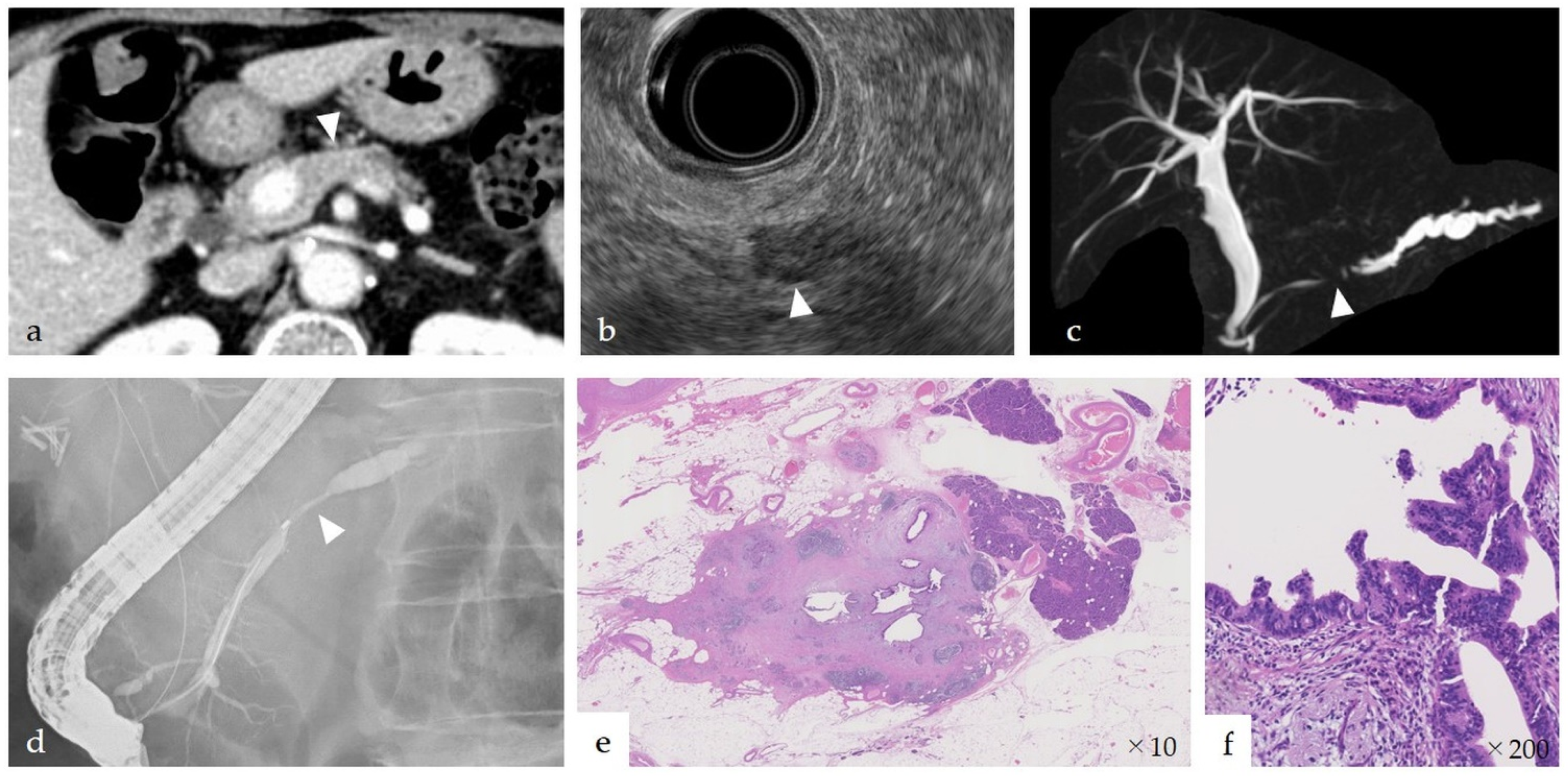 Diagnostics 11 00287 g002