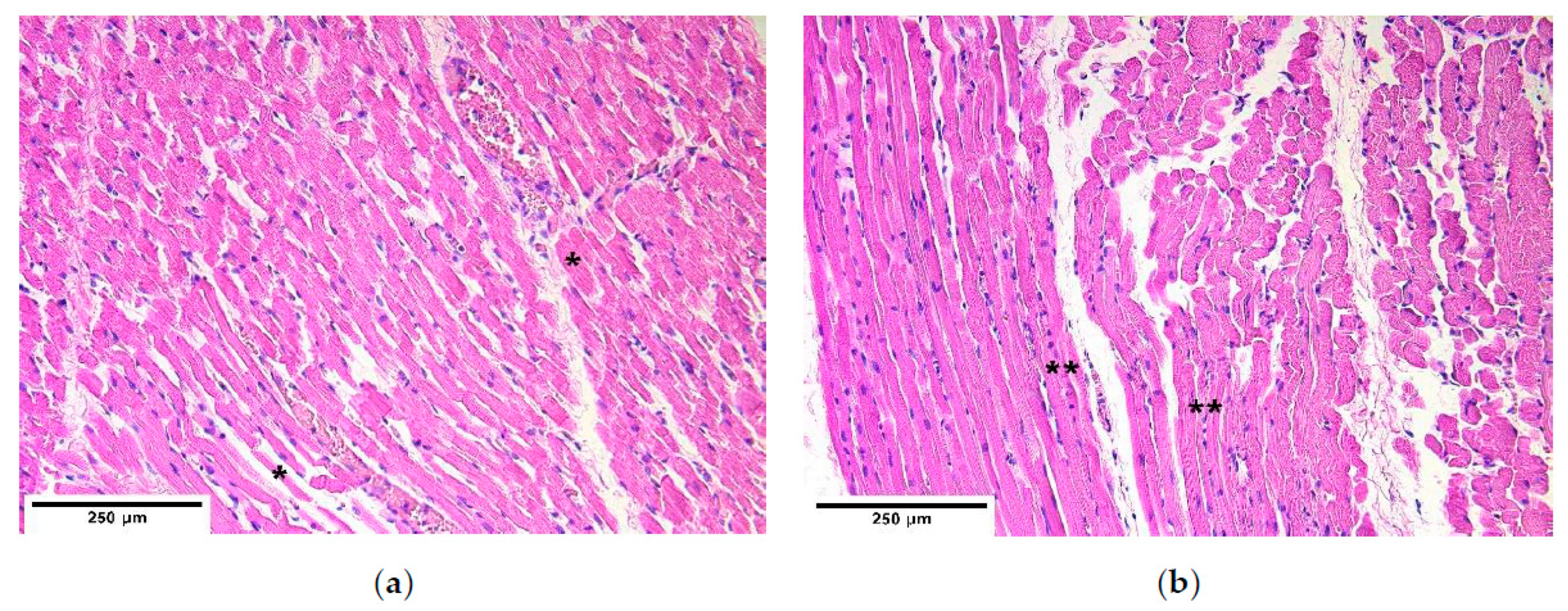 Diagnostics 11 00289 g001
