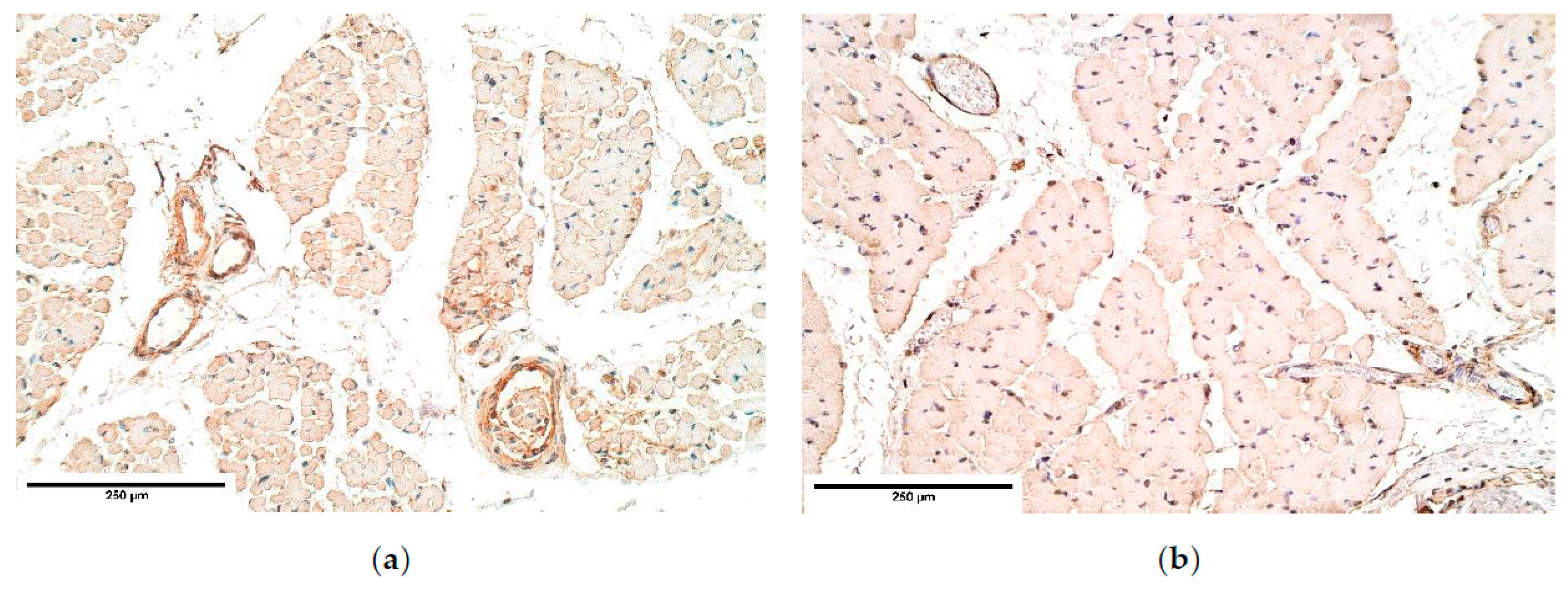 Diagnostics 11 00289 g002