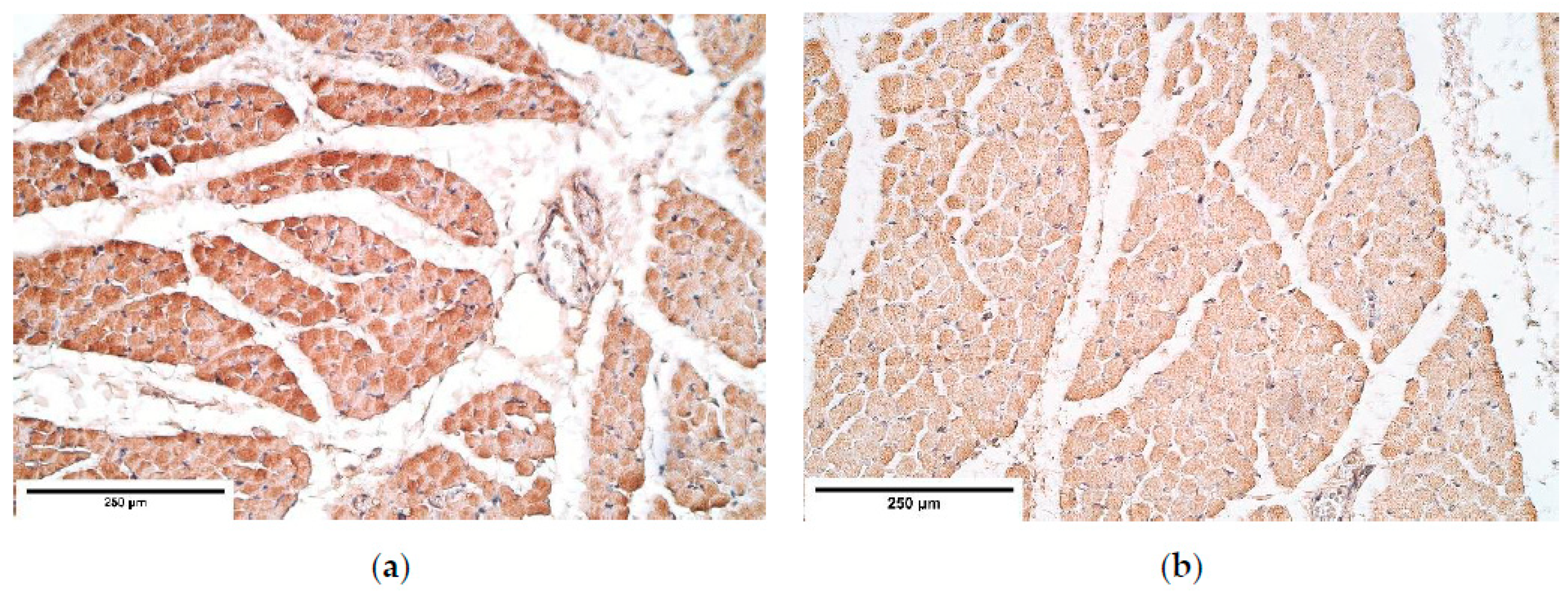 Diagnostics 11 00289 g006