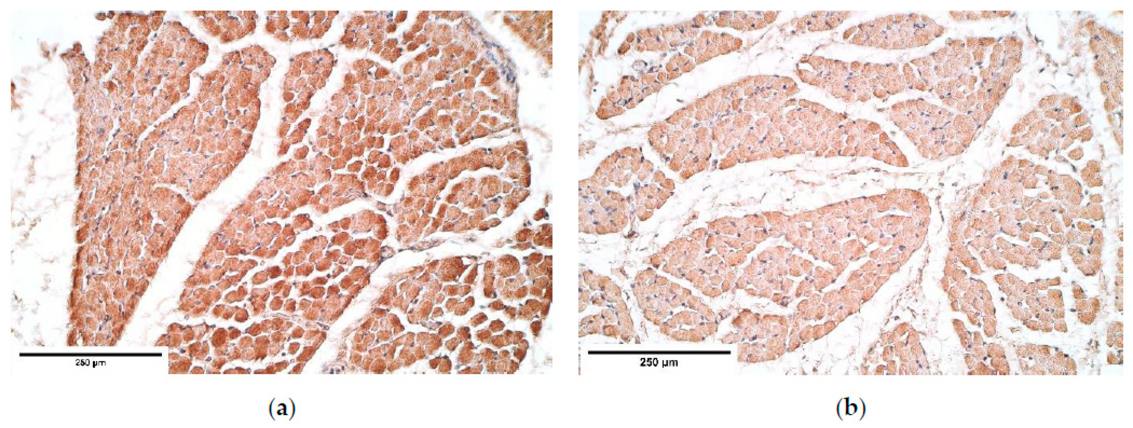 Diagnostics 11 00289 g007