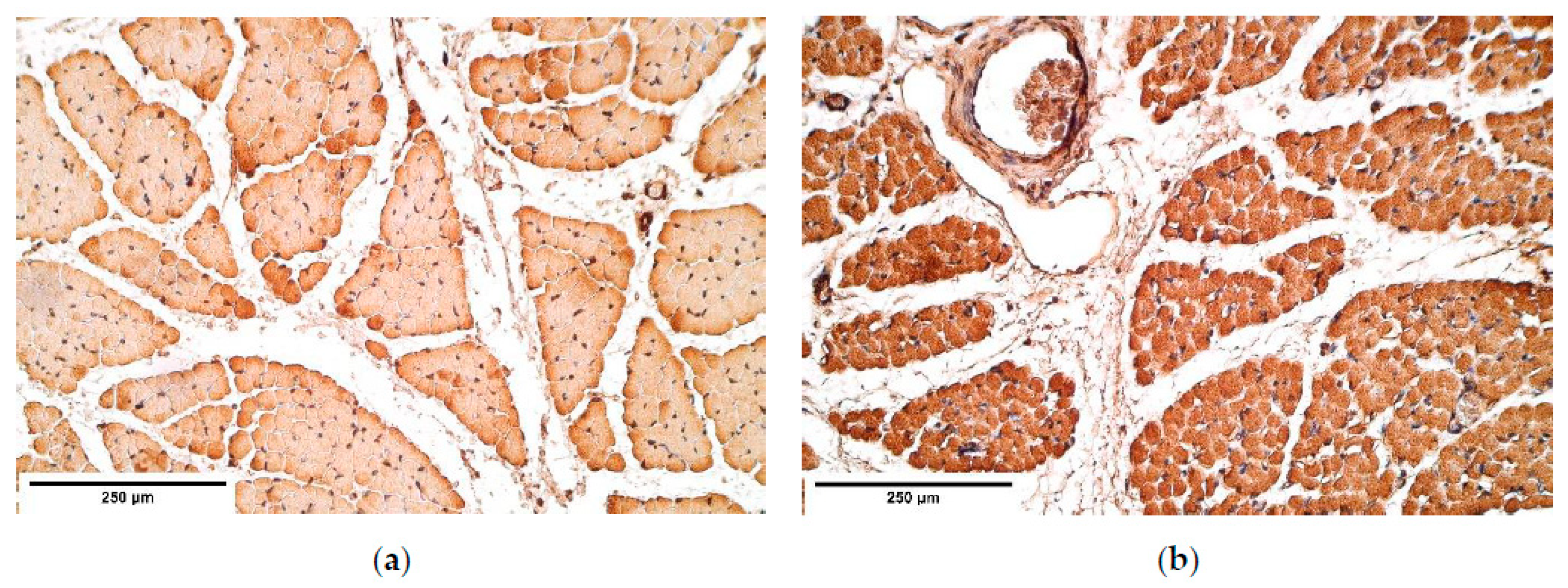 Diagnostics 11 00289 g010