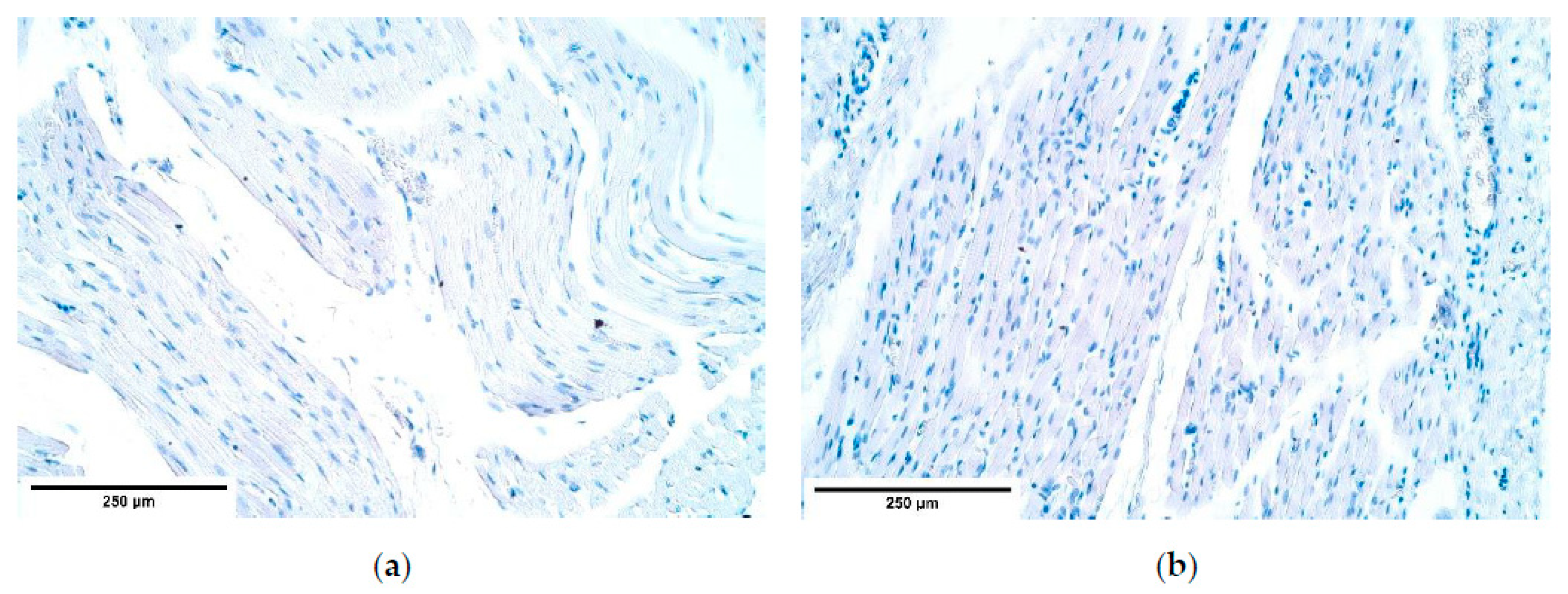 Diagnostics 11 00289 g012