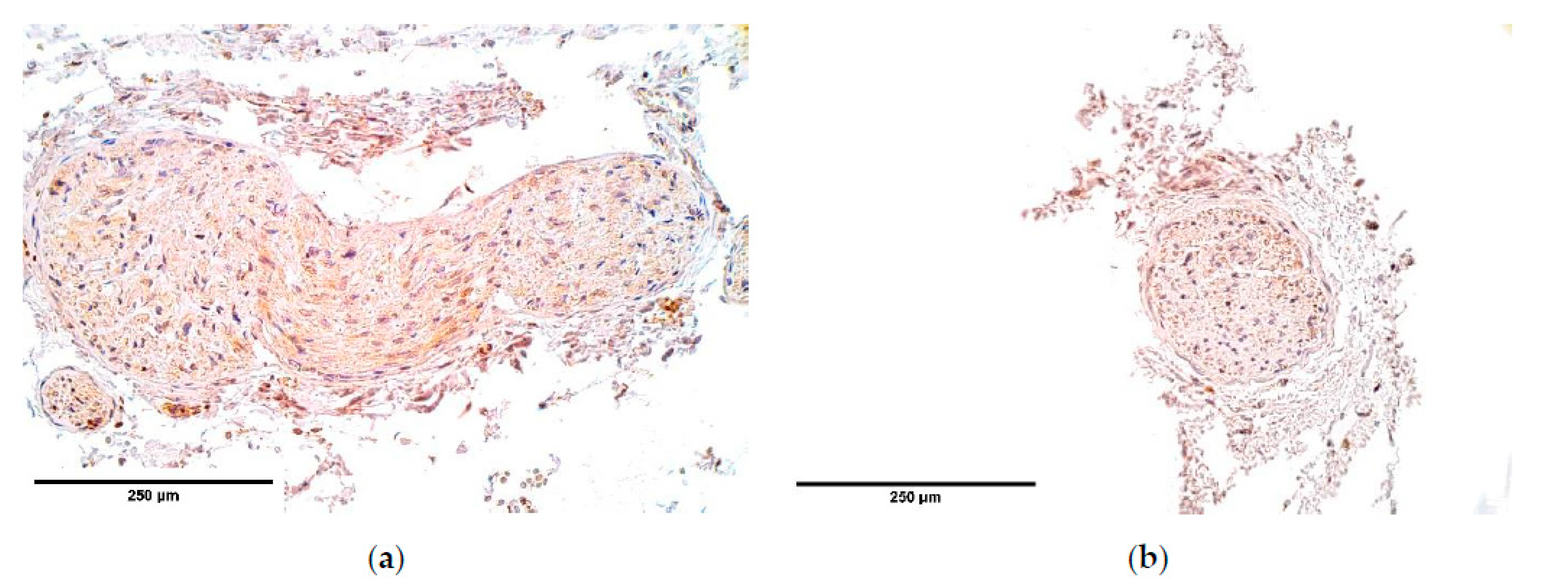 Diagnostics 11 00289 g014