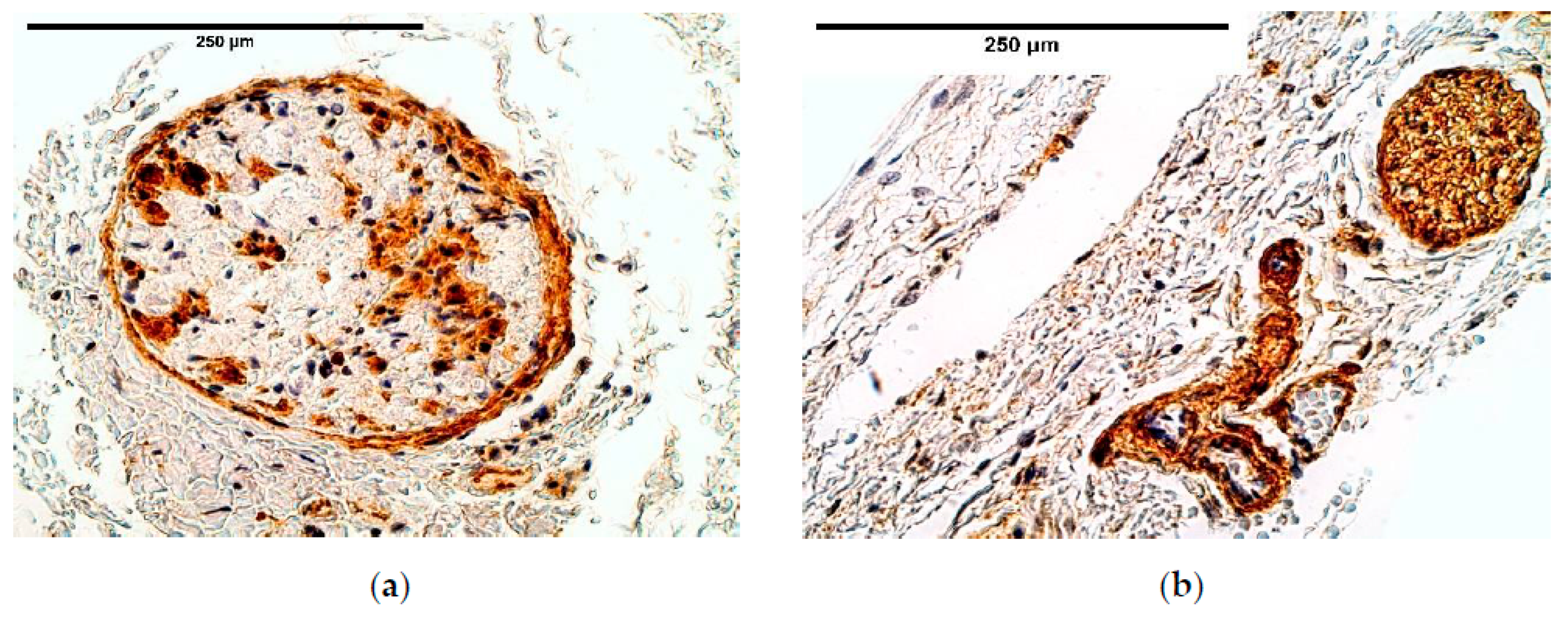 Diagnostics 11 00289 g015