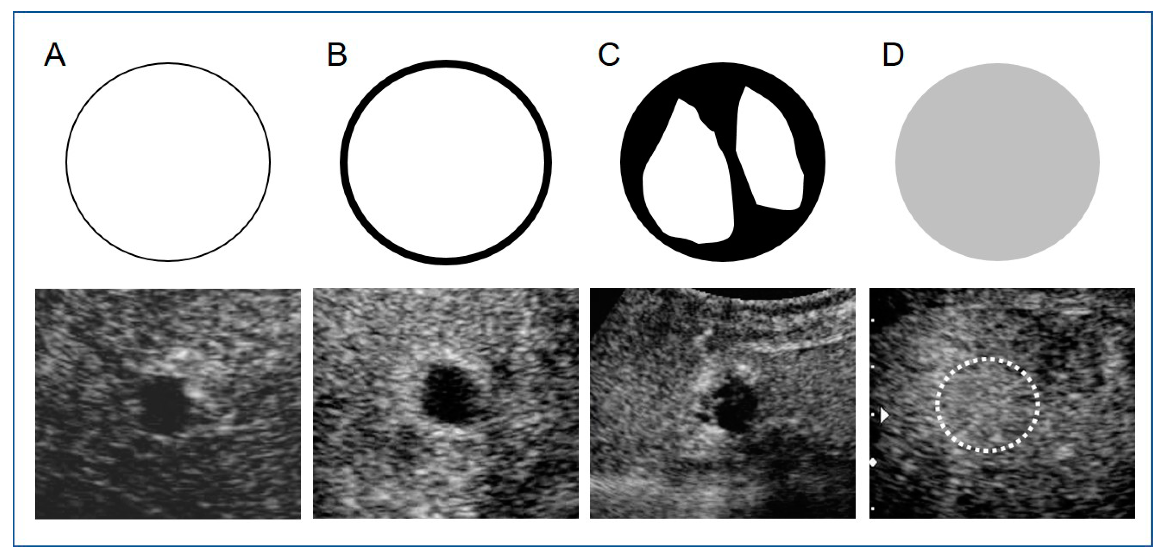 Diagnostics 11 00291 g001