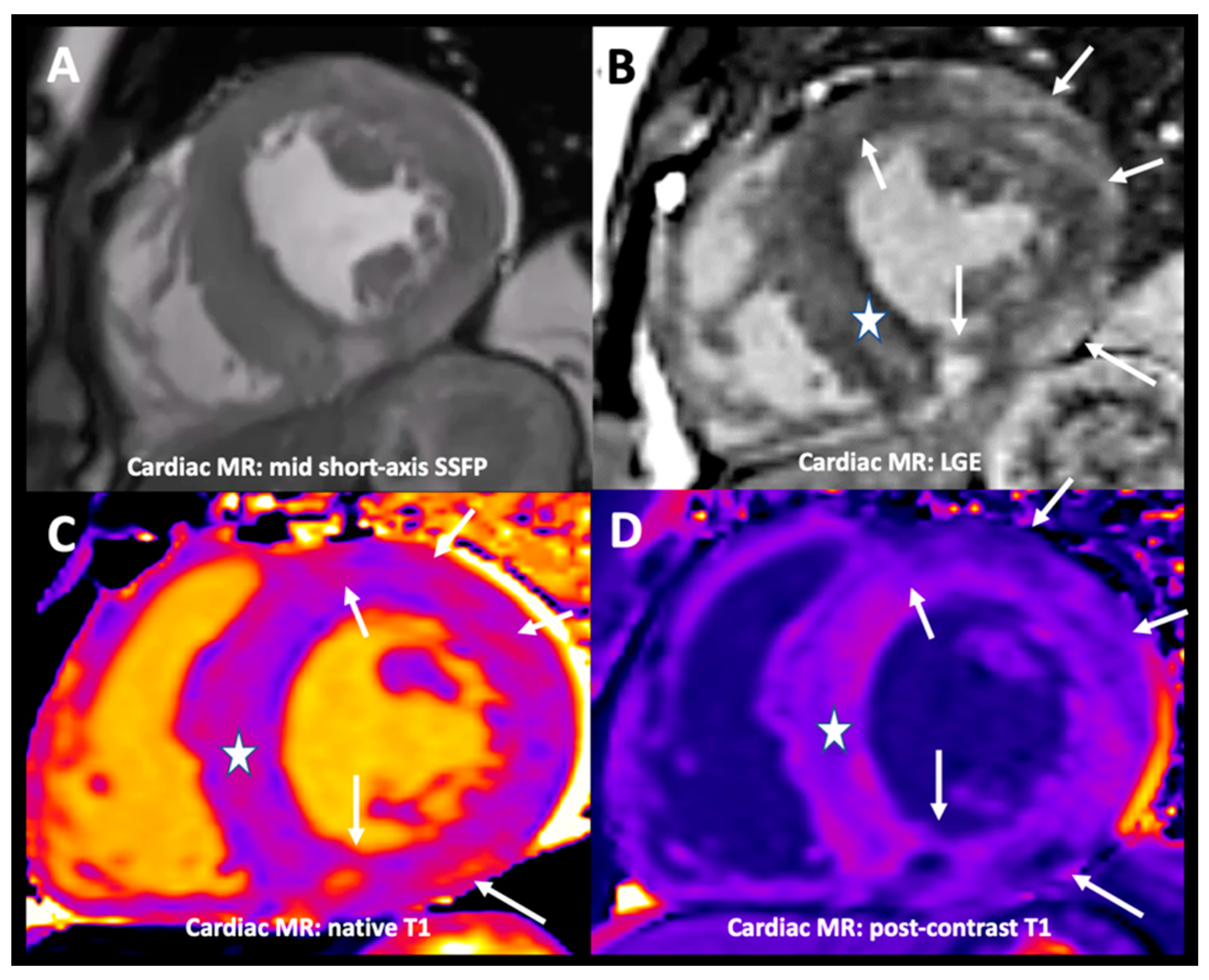 Diagnostics 11 00295 g003
