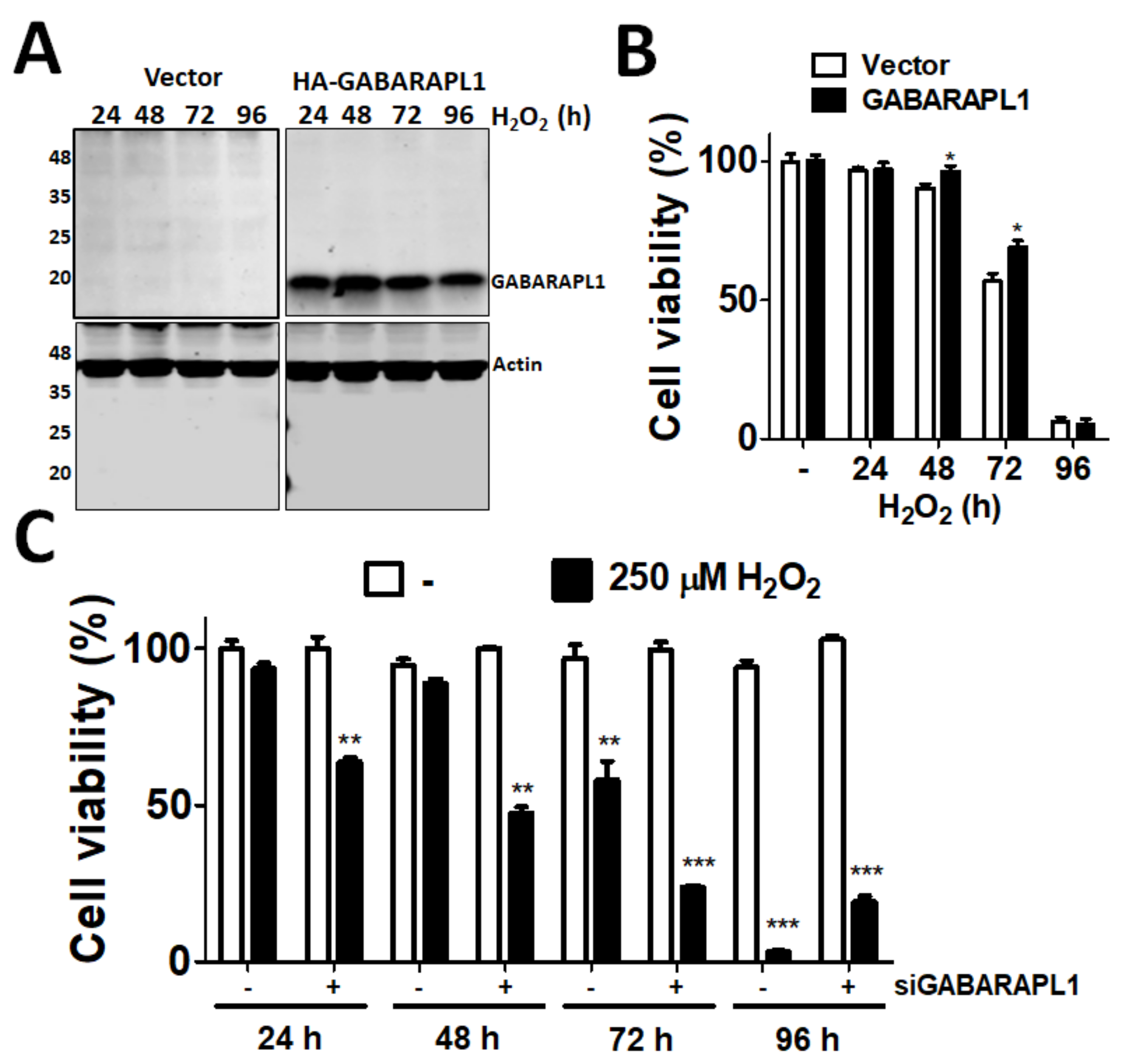 Diagnostics 11 00296 g003 Diagnostics 11 00296 g003