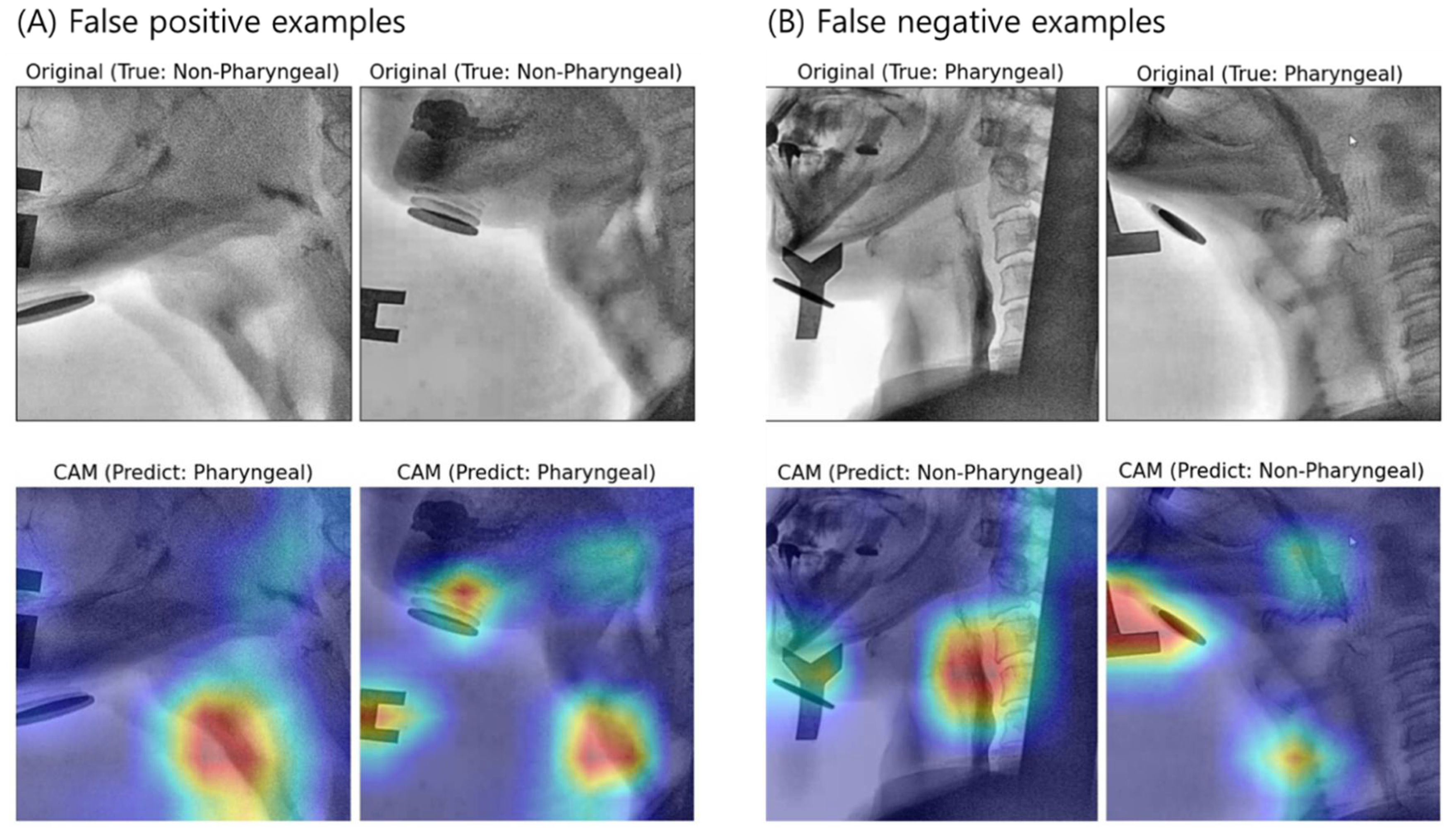 Diagnostics 11 00300 g010 Diagnostics 11 00300 g010