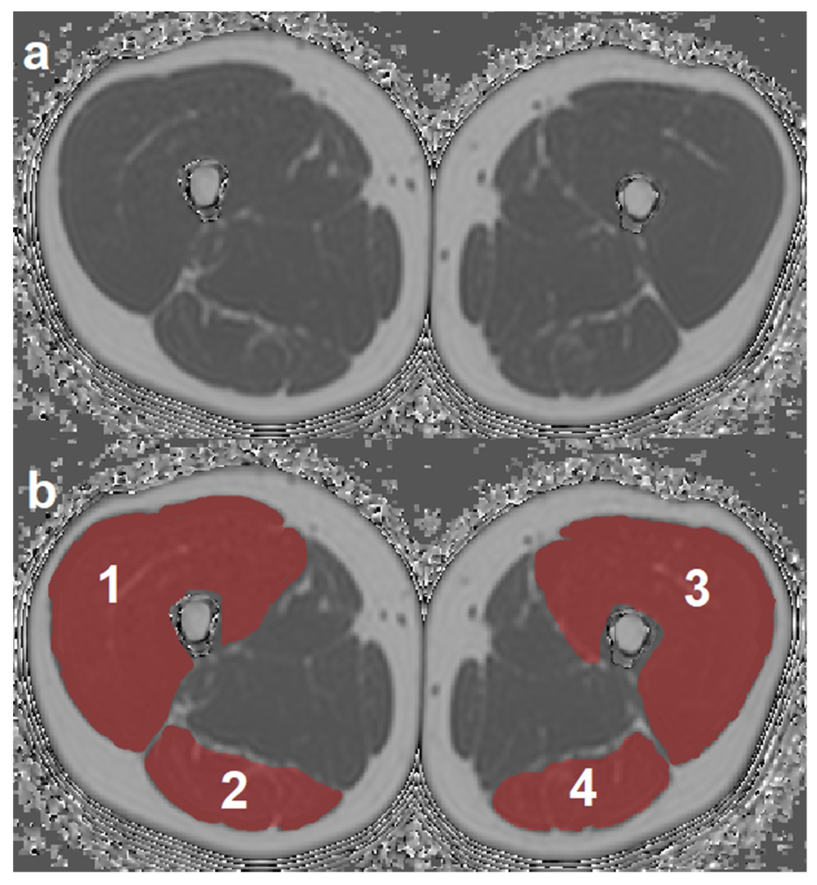 Diagnostics 11 00302 g001 Diagnostics 11 00302 g001