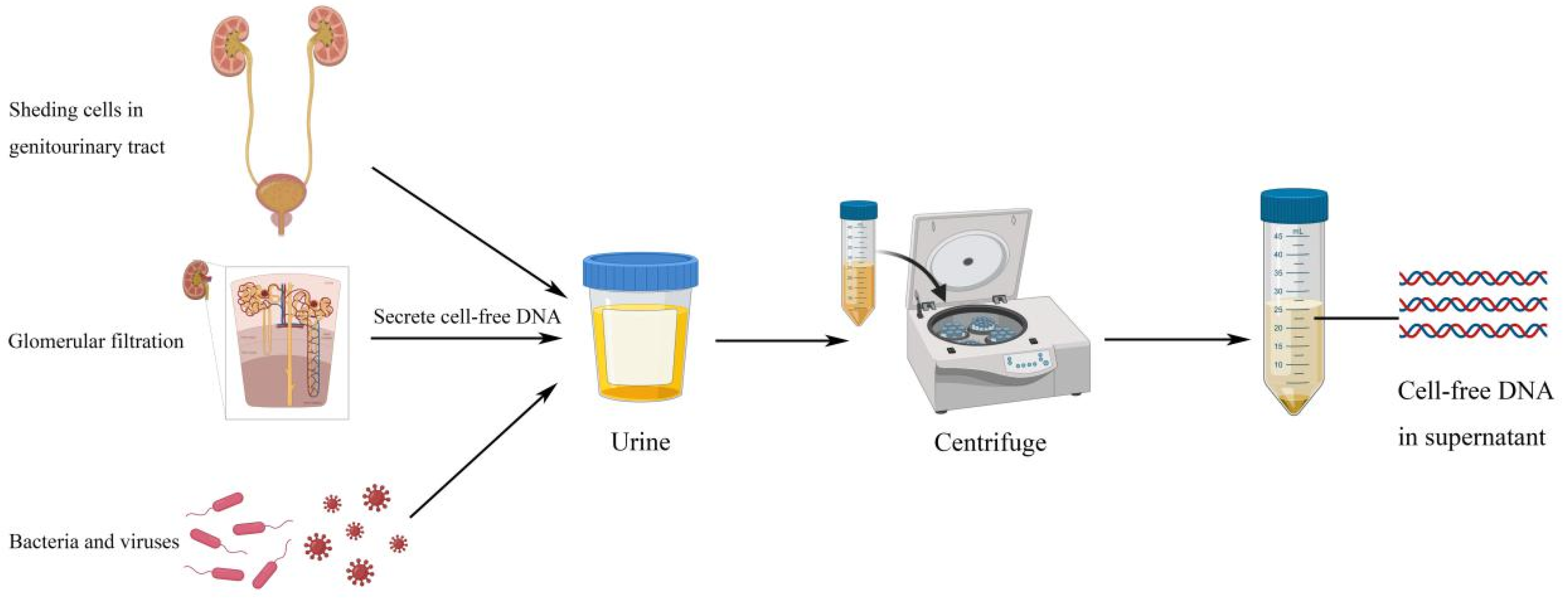 Diagnostics 11 00306 g001 Diagnostics 11 00306 g001