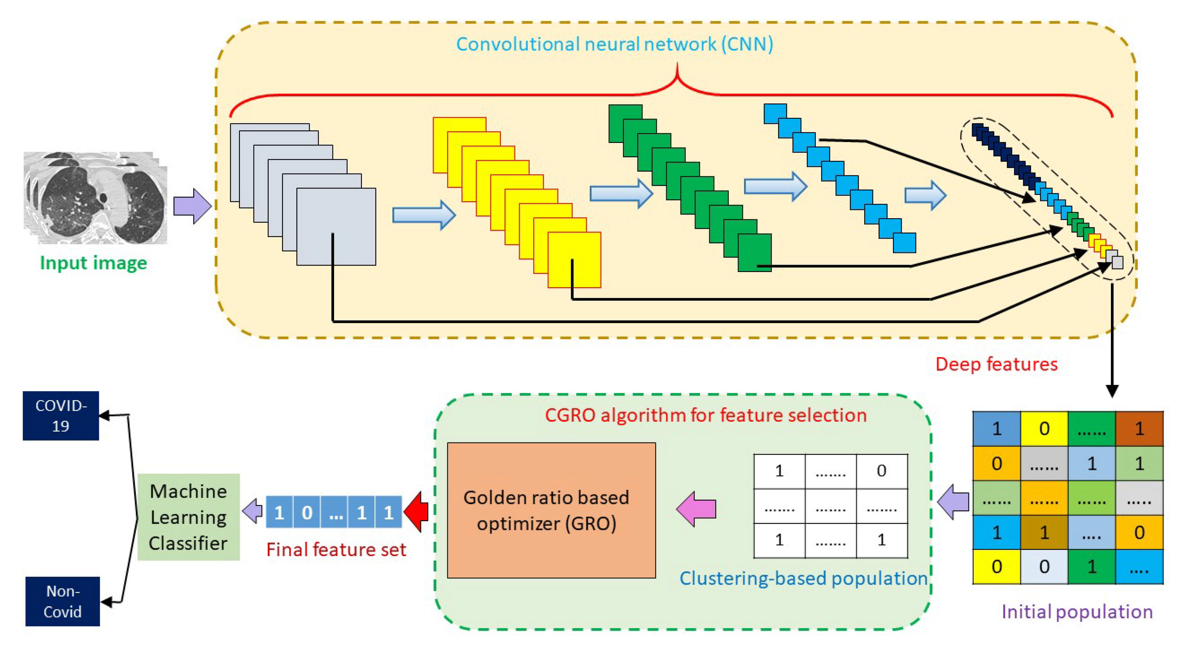 Diagnostics 11 00315 g003