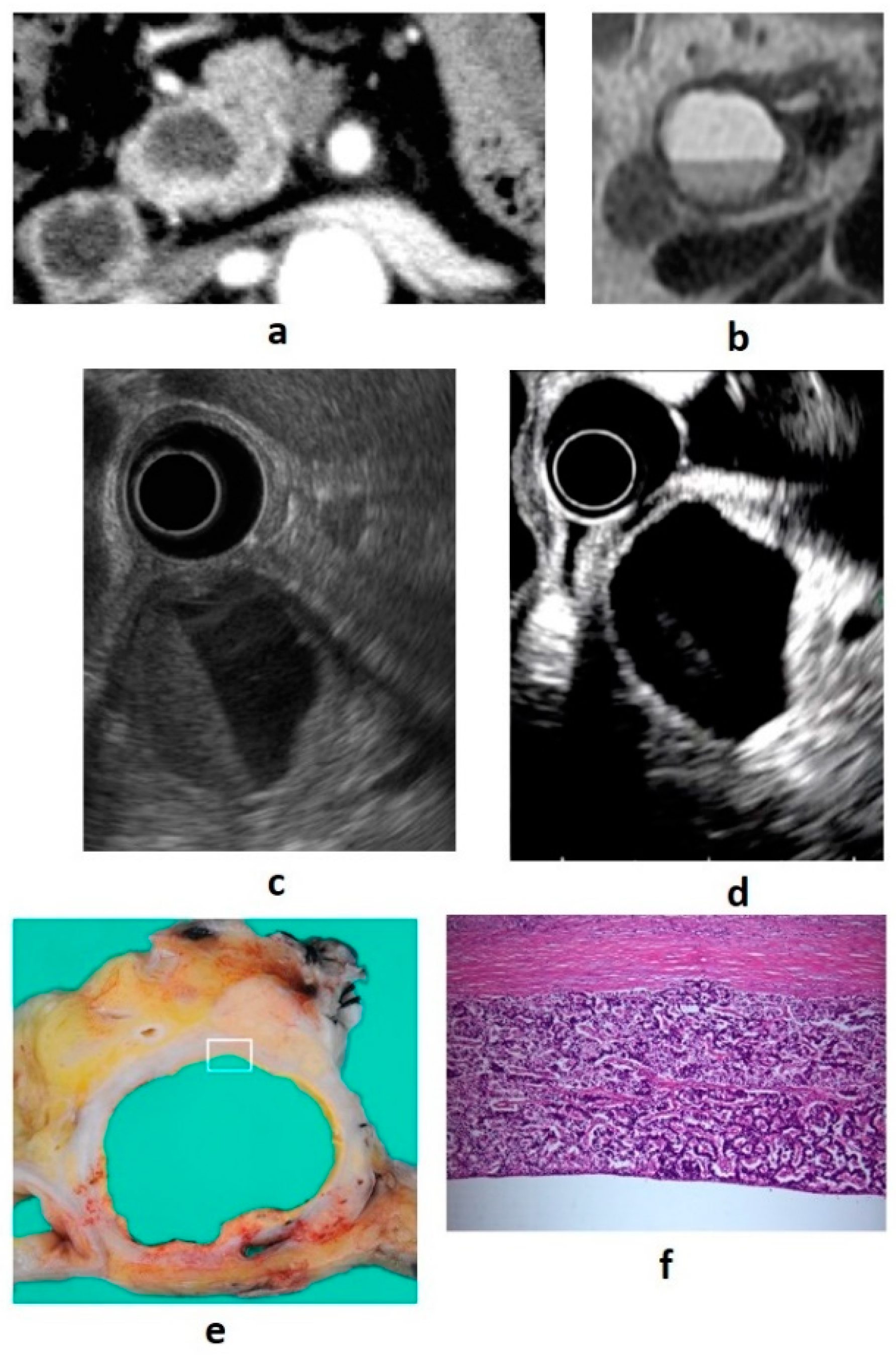 Diagnostics 11 00316 g003
