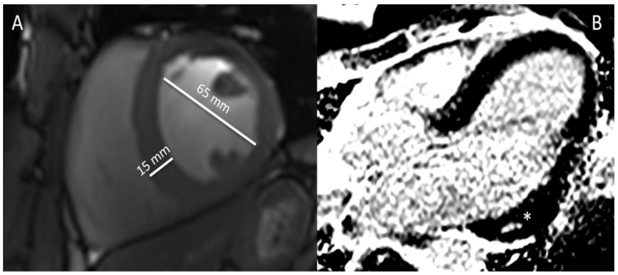 Diagnostics 11 00324 g003 Diagnostics 11 00324 g003