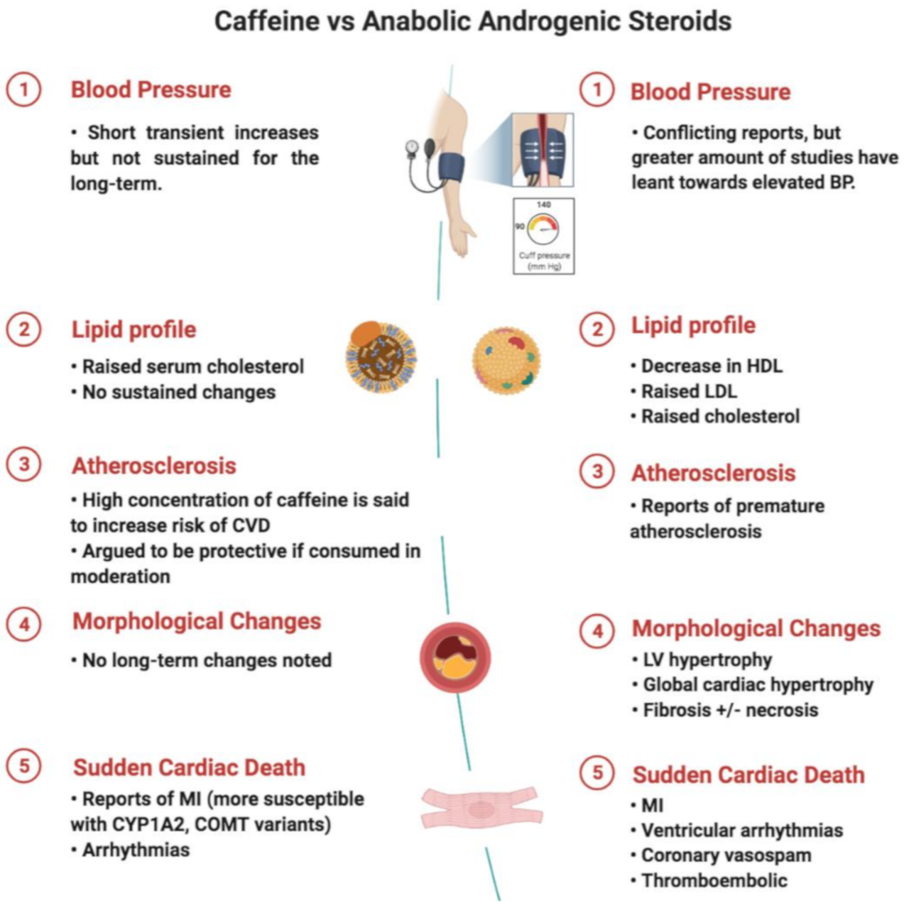 Diagnostics 11 00324 g004 Diagnostics 11 00324 g004