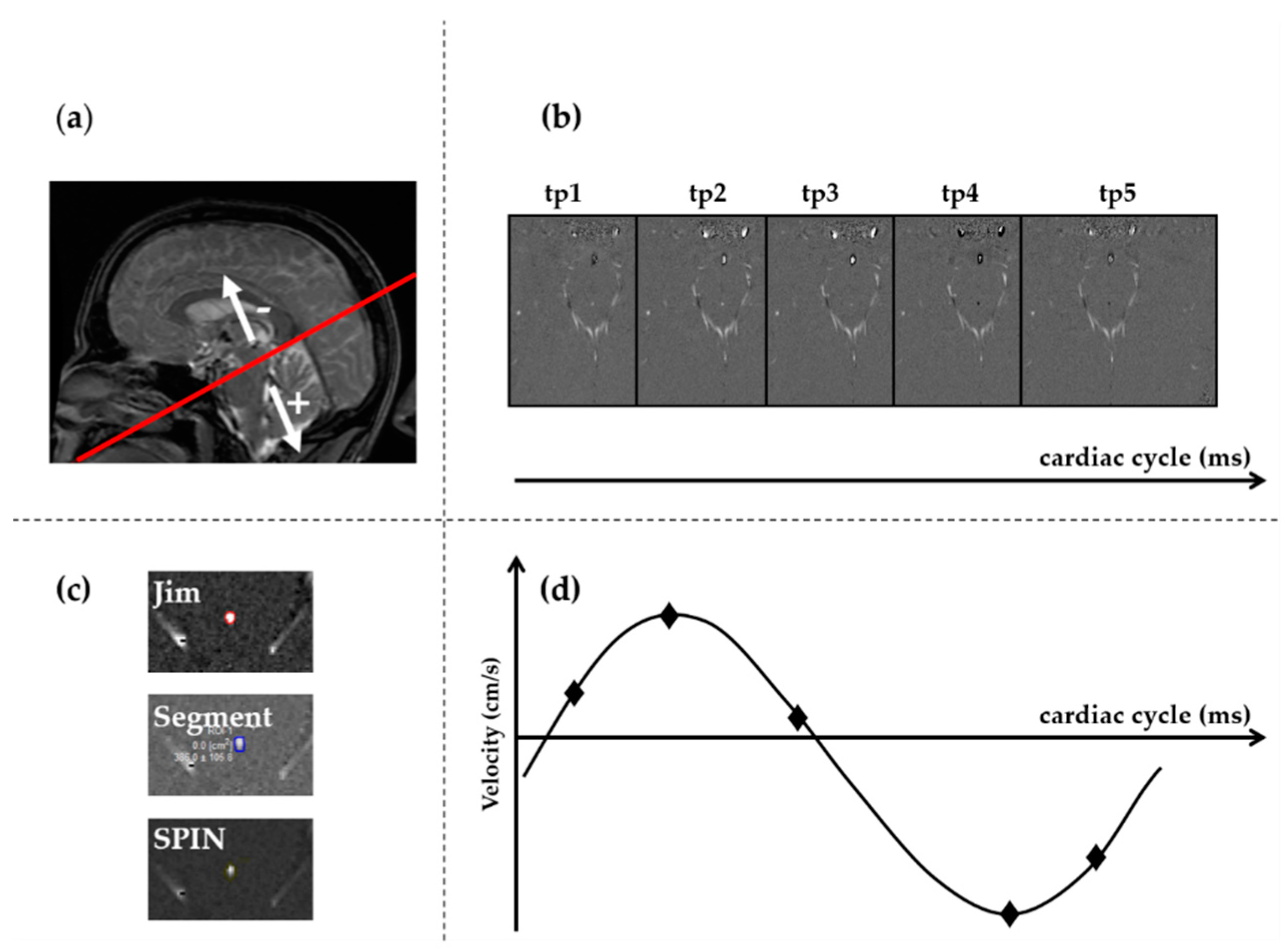 Diagnostics 11 00325 g001 Diagnostics 11 00325 g001