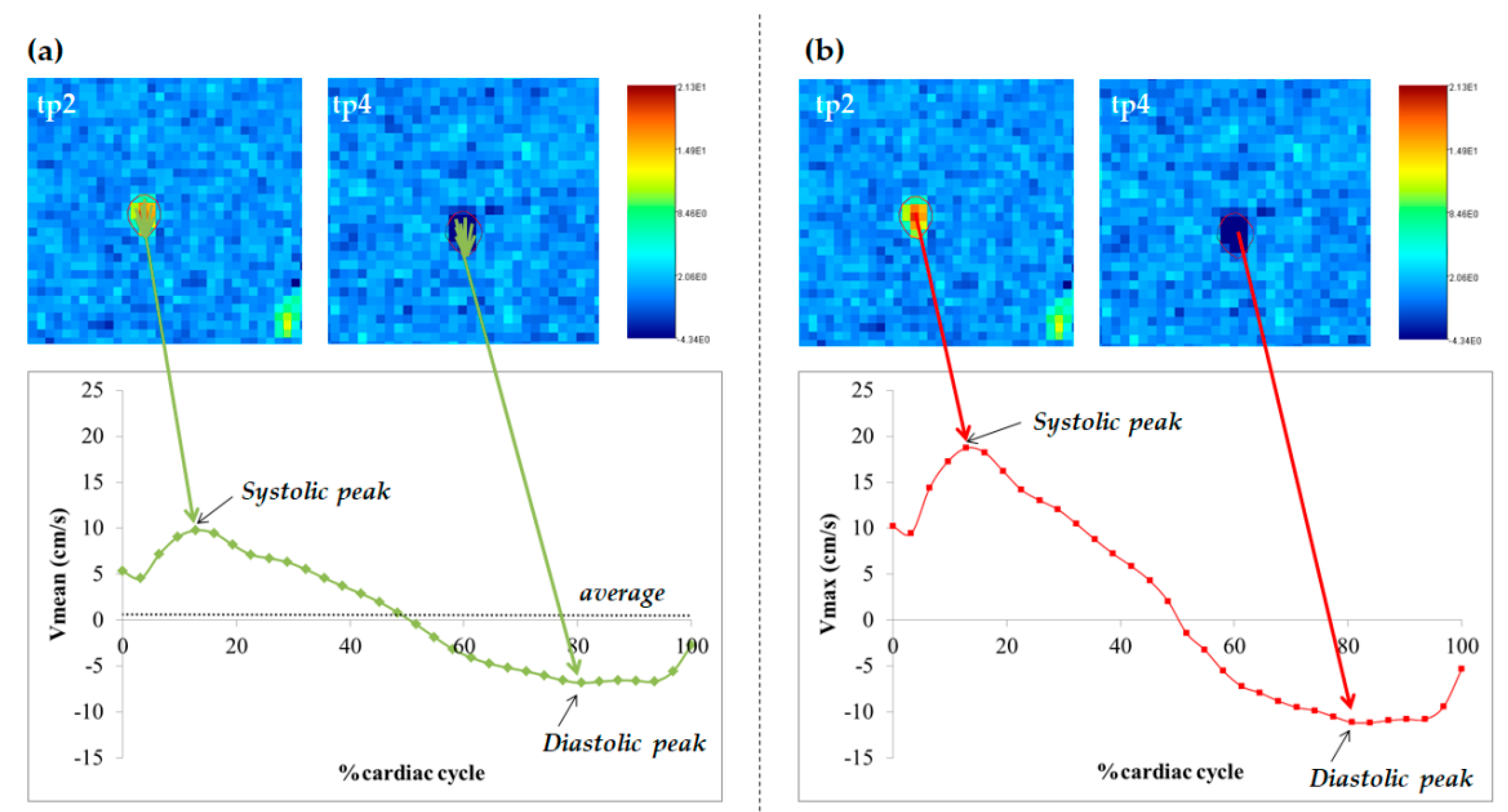 Diagnostics 11 00325 g002 Diagnostics 11 00325 g002