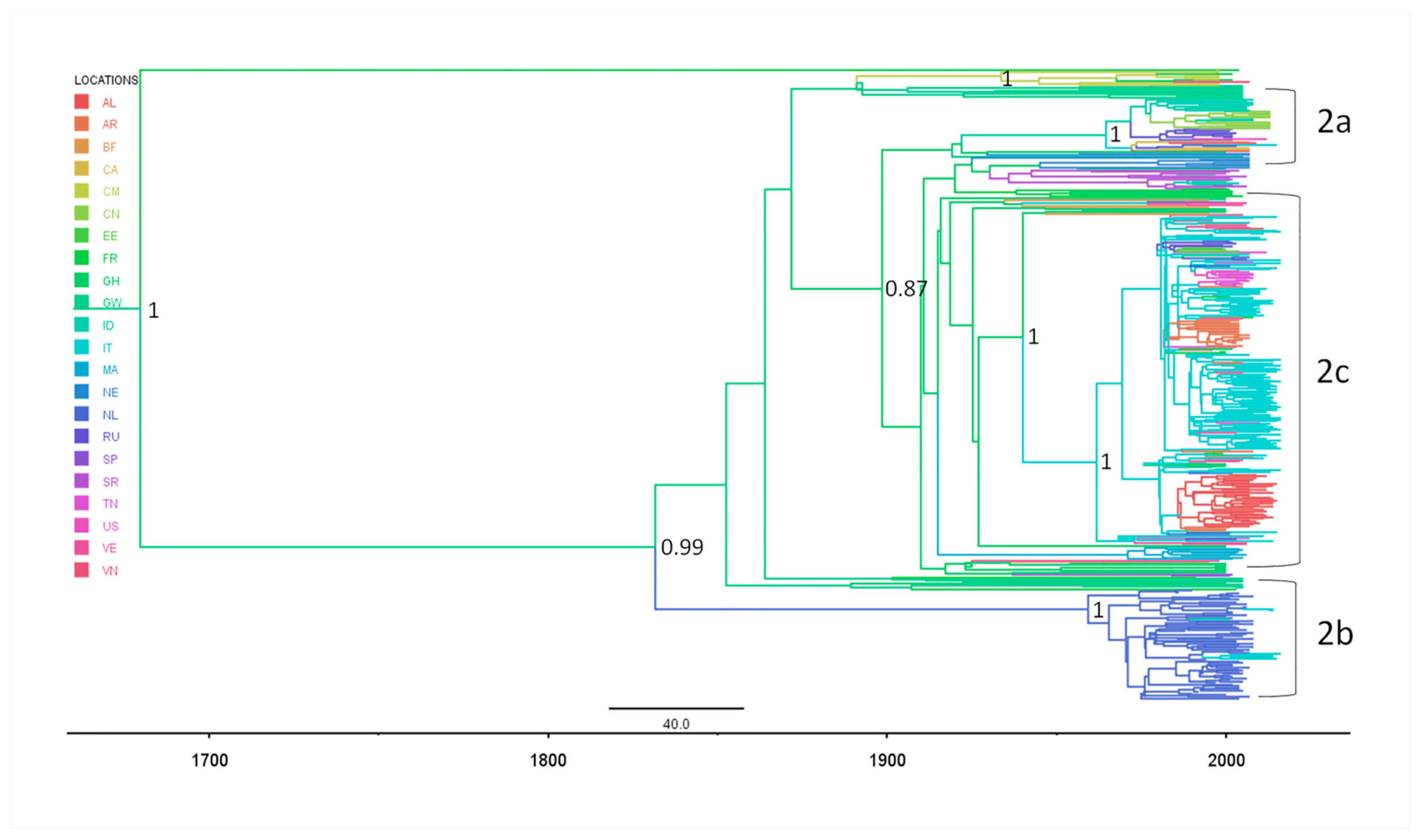 Diagnostics 11 00327 g003 Diagnostics 11 00327 g003