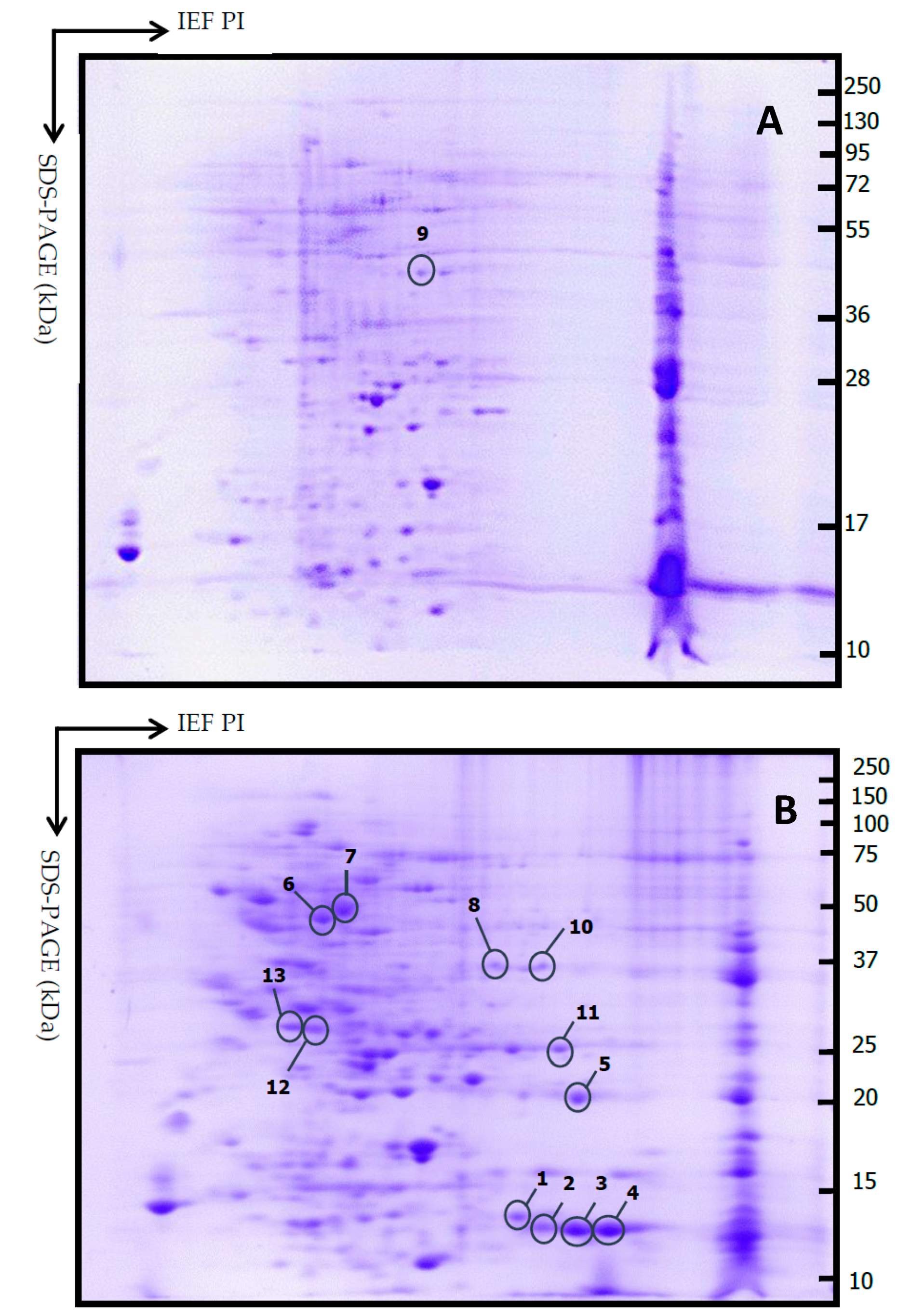 Diagnostics 11 00330 g004 Diagnostics 11 00330 g004