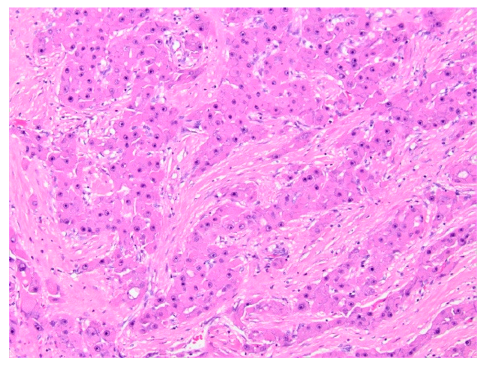 Diagnostics 11 00333 g012 Diagnostics 11 00333 g012