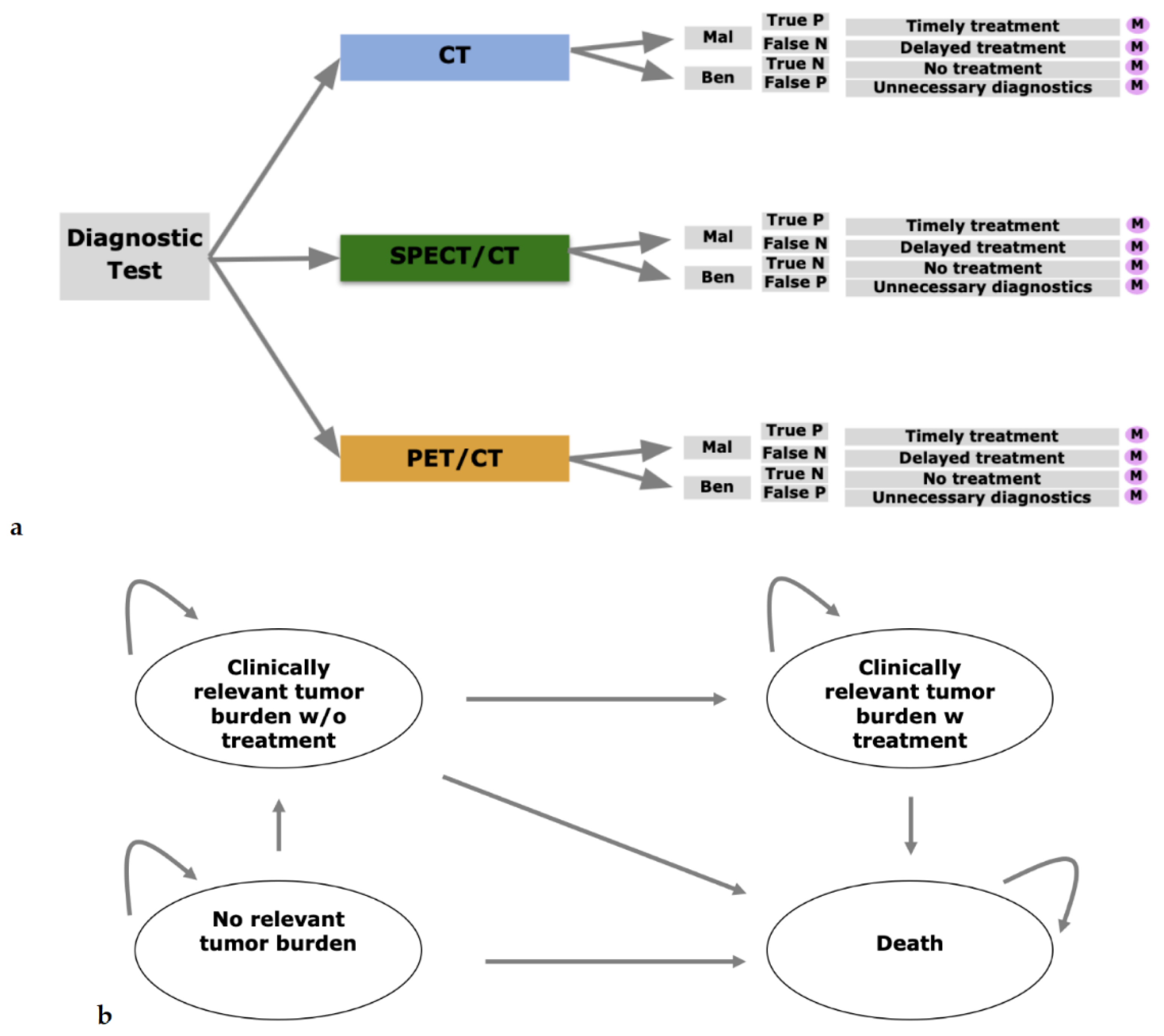 Diagnostics 11 00334 g001 Diagnostics 11 00334 g001