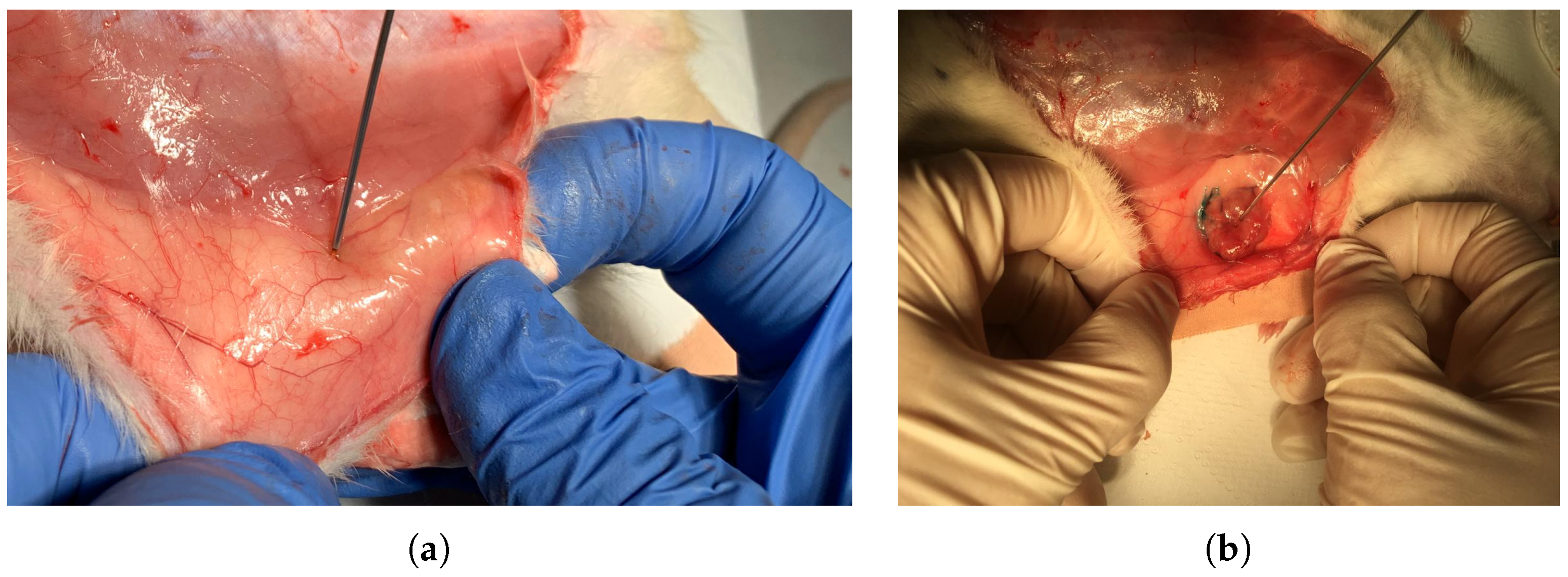 Diagnostics 11 00338 g002 Diagnostics 11 00338 g002