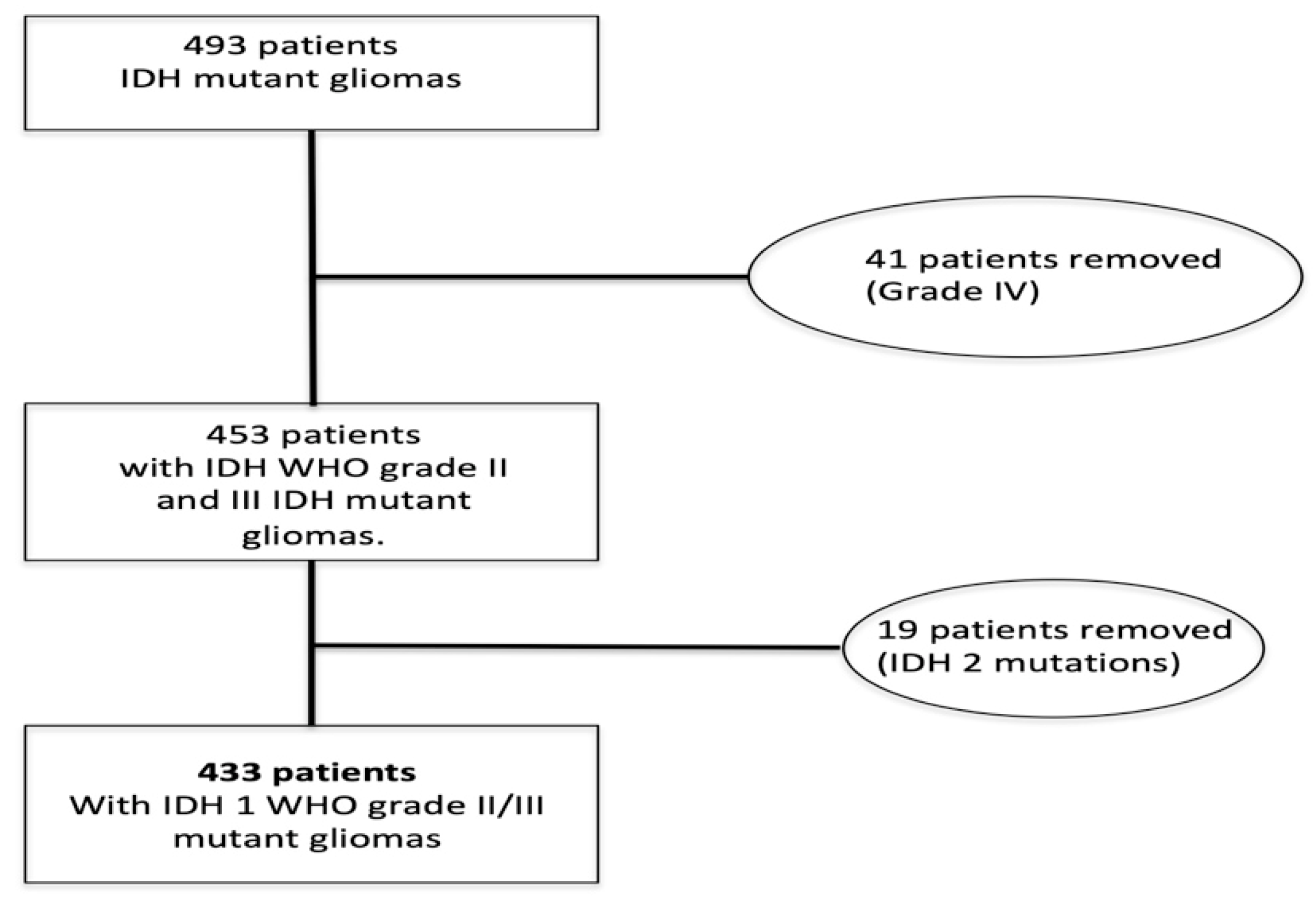 Diagnostics 11 00342 g001