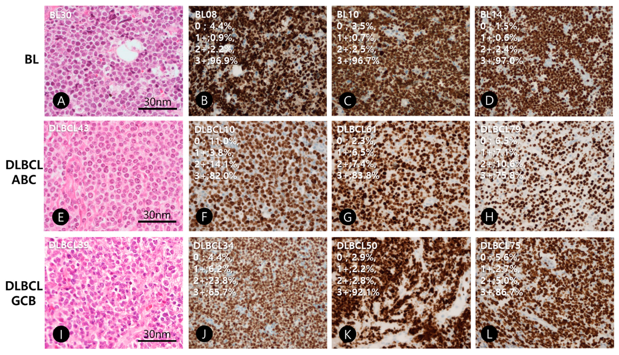 Diagnostics 11 00343 g001 Diagnostics 11 00343 g001