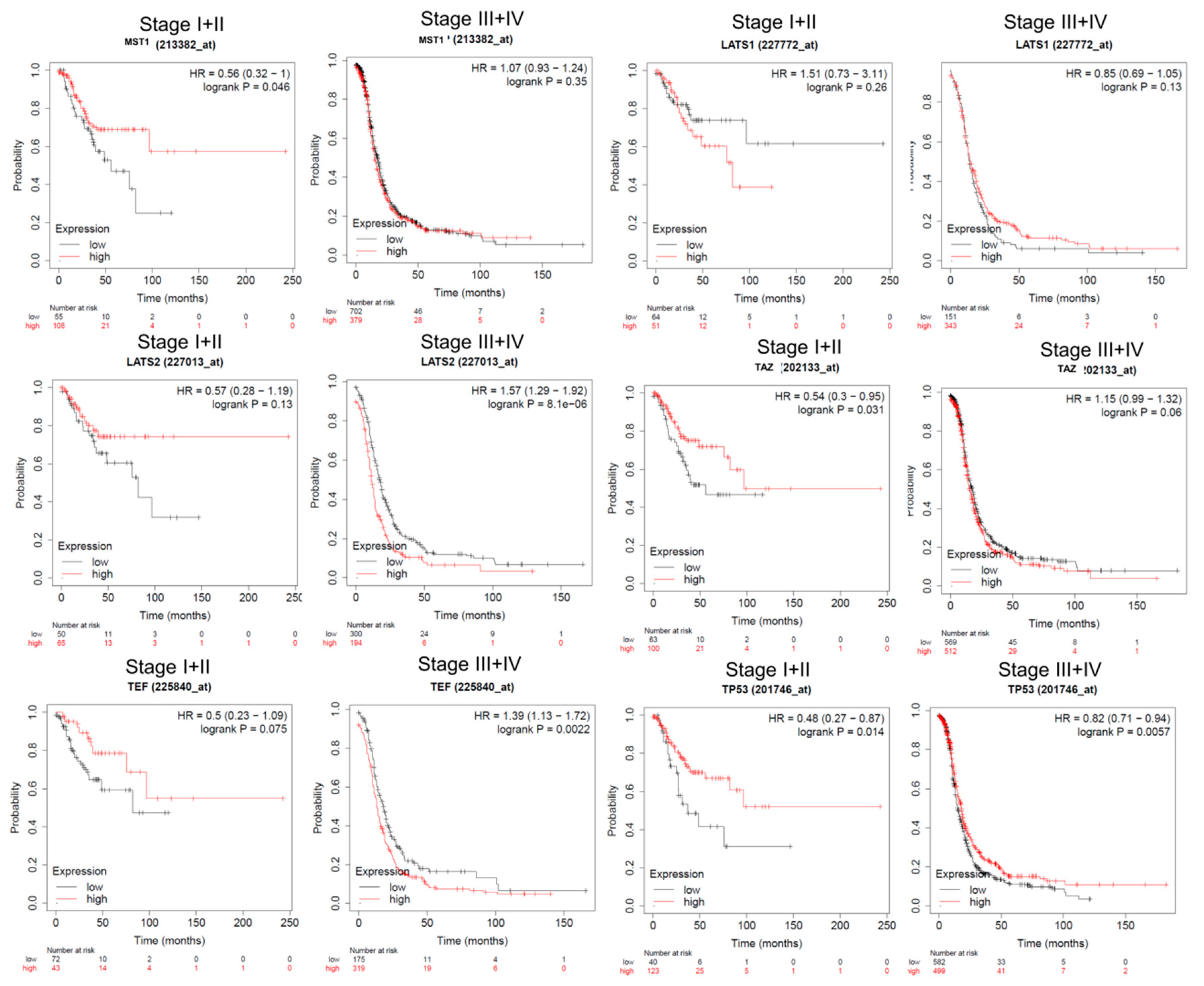 Diagnostics 11 00344 g003 Diagnostics 11 00344 g003