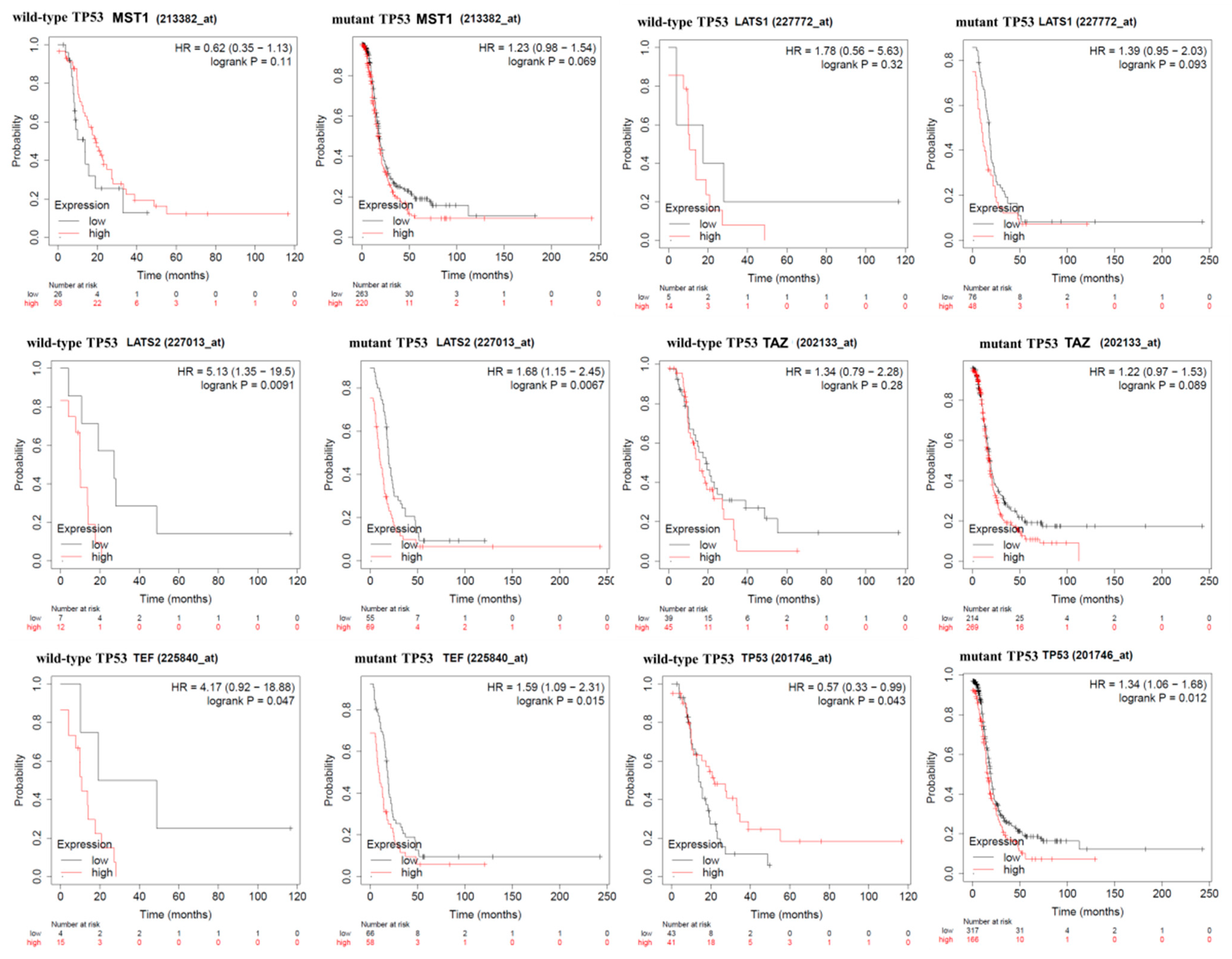 Diagnostics 11 00344 g004 Diagnostics 11 00344 g004