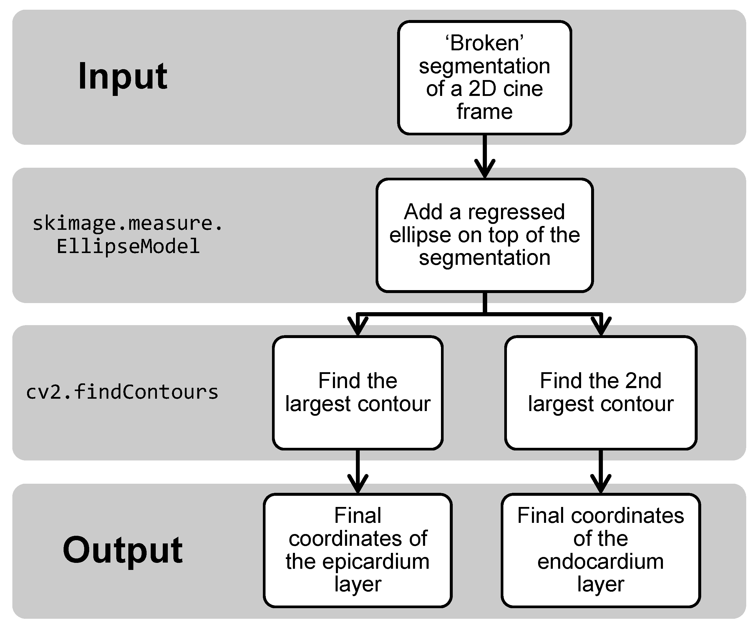 Diagnostics 11 00346 g002