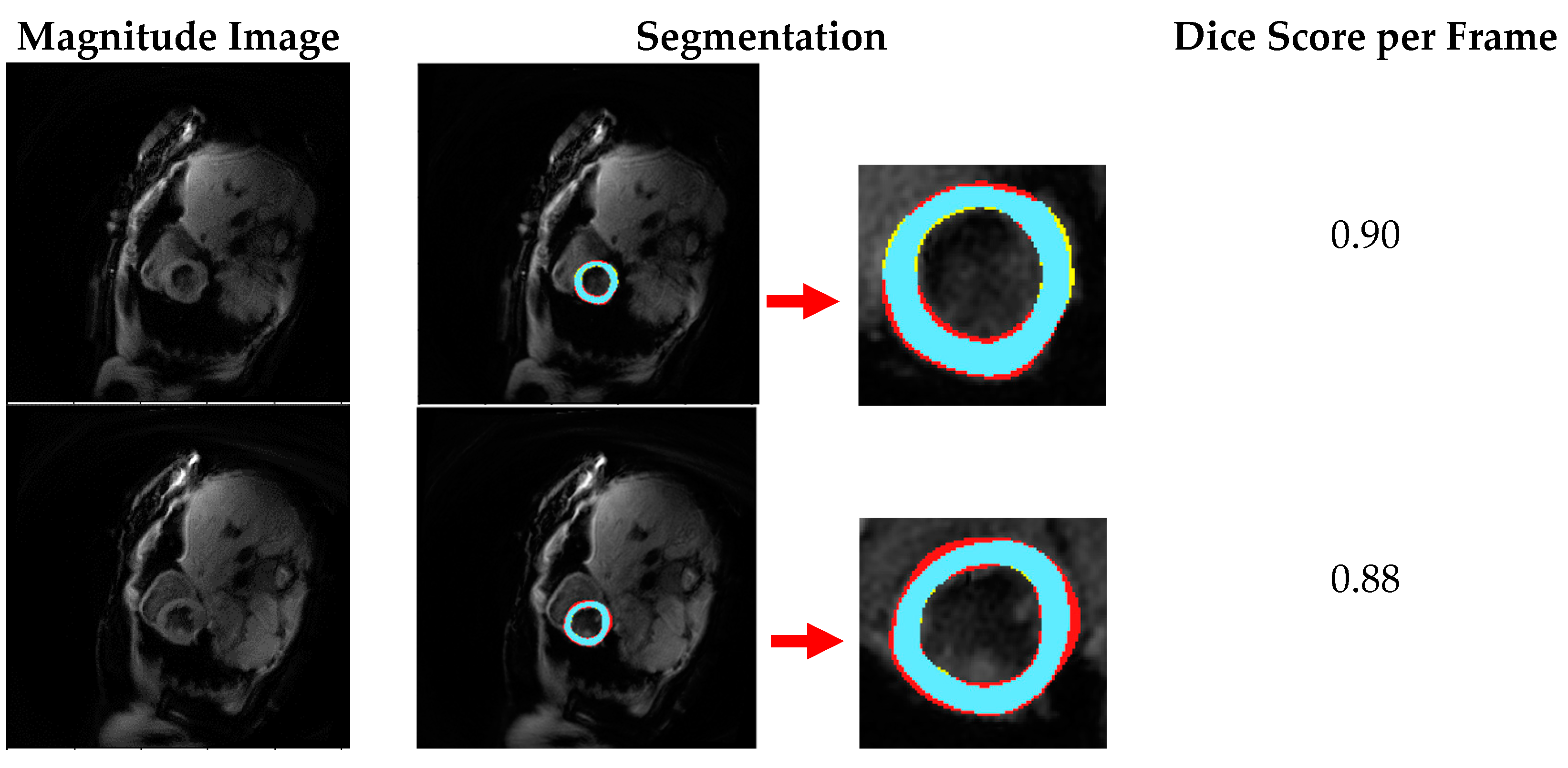 Diagnostics 11 00346 g004
