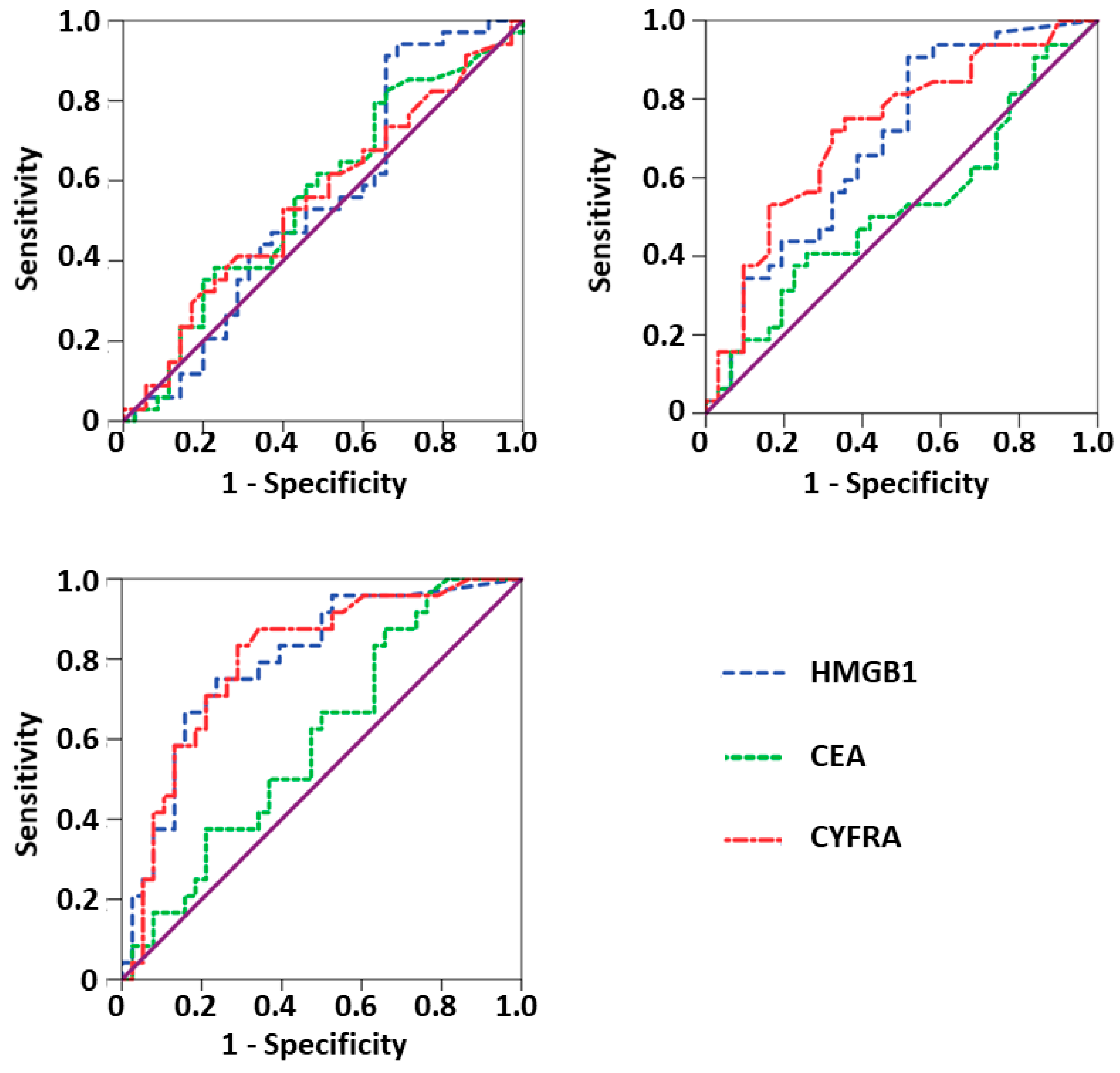 Diagnostics 11 00356 g002