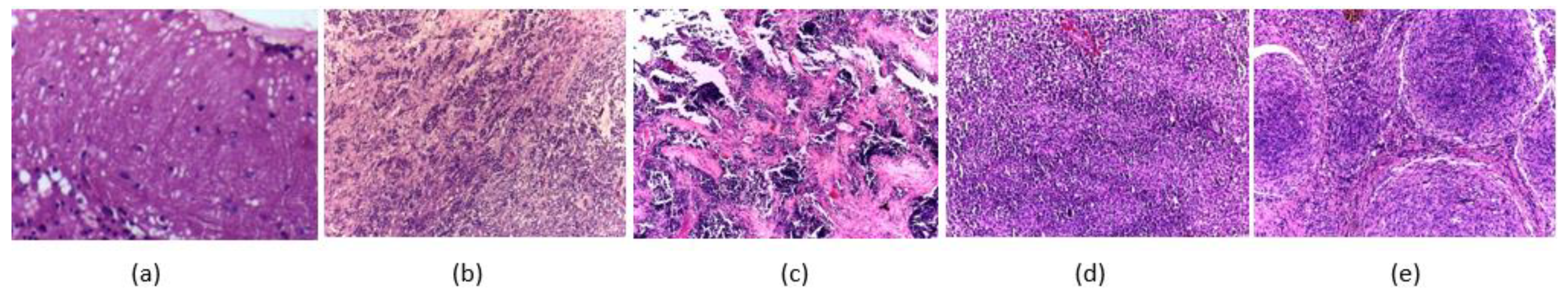 Diagnostics 11 00359 g001 Diagnostics 11 00359 g001