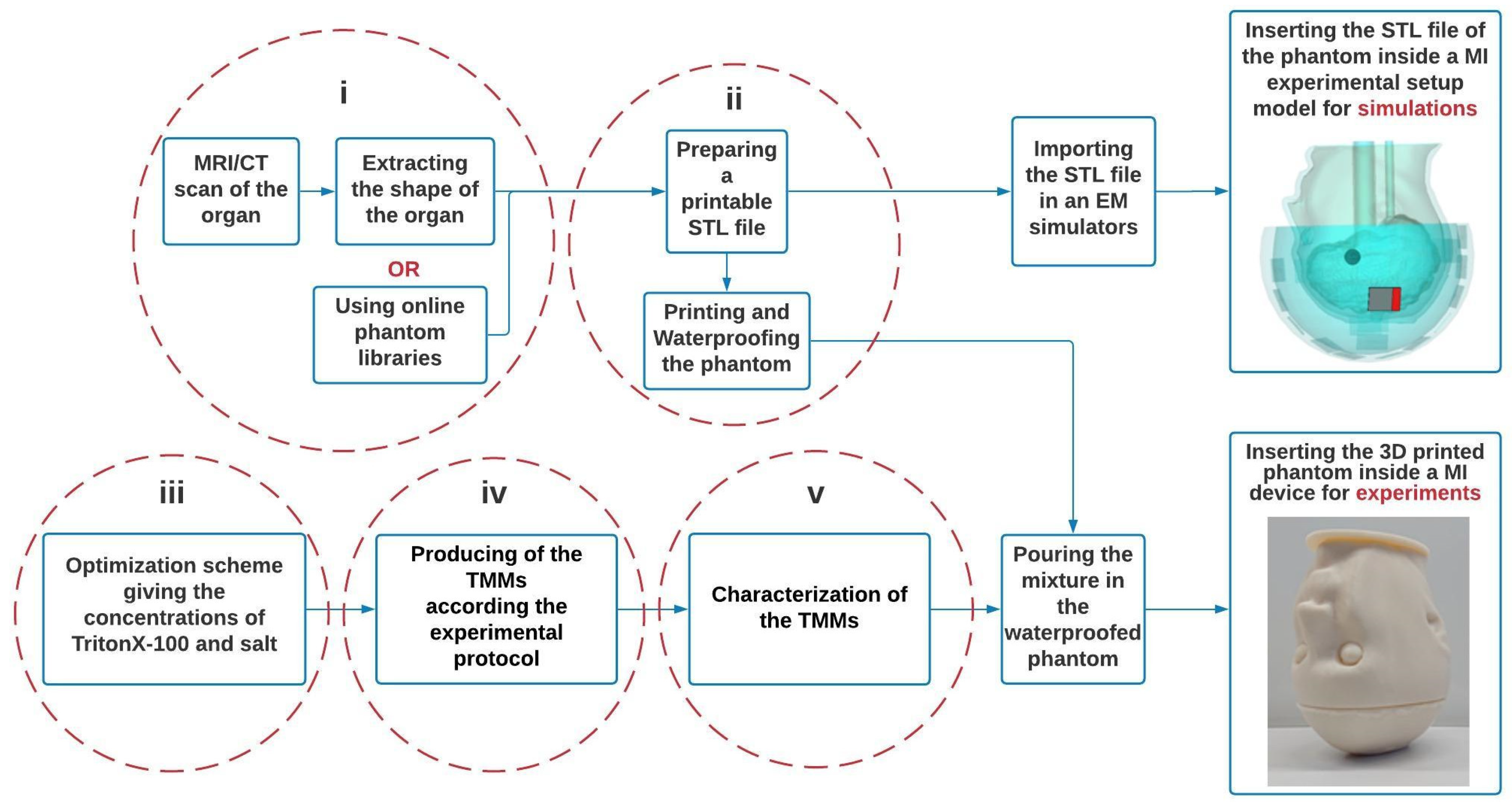 Diagnostics 11 00376 g001