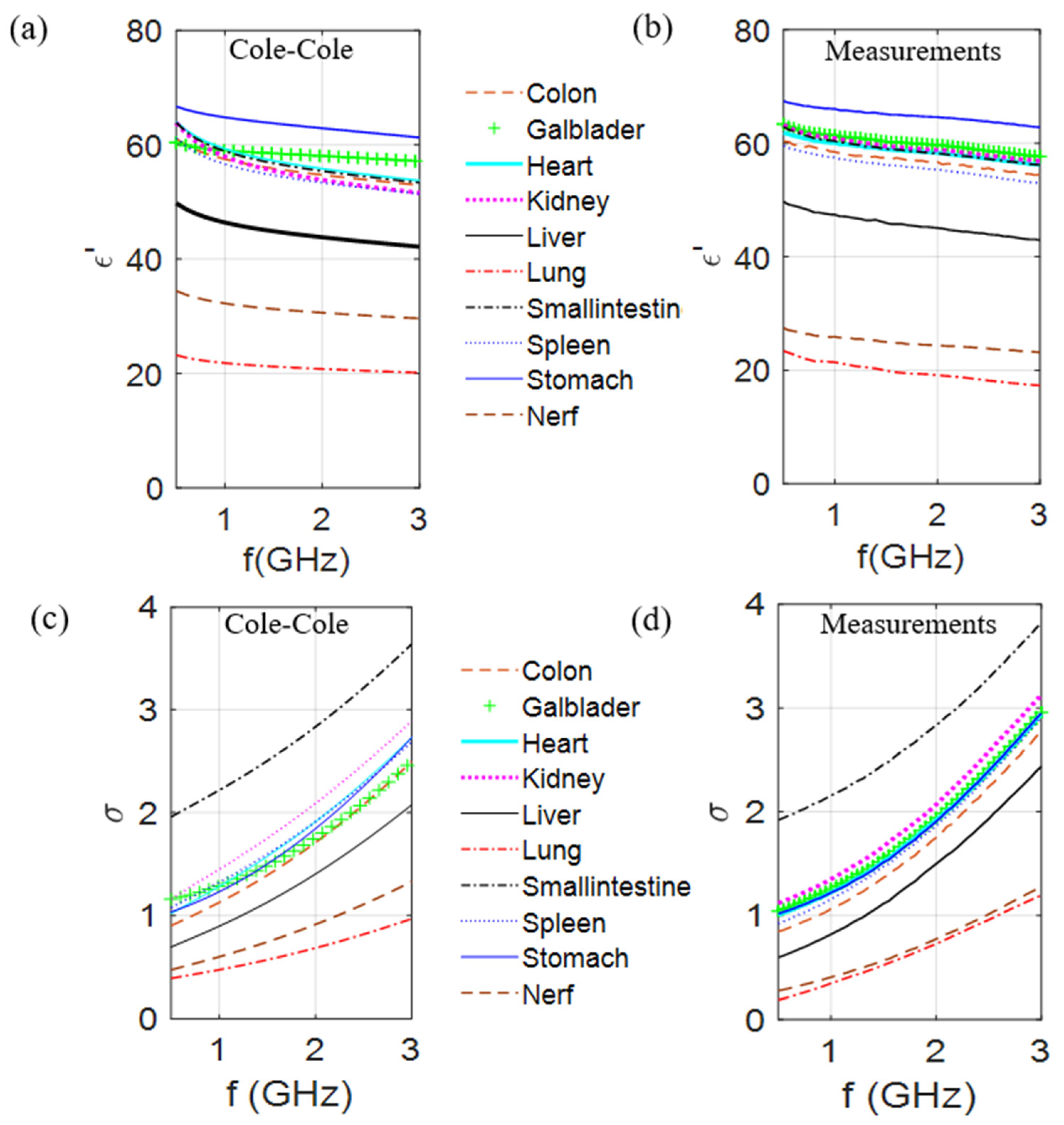 Diagnostics 11 00376 g002