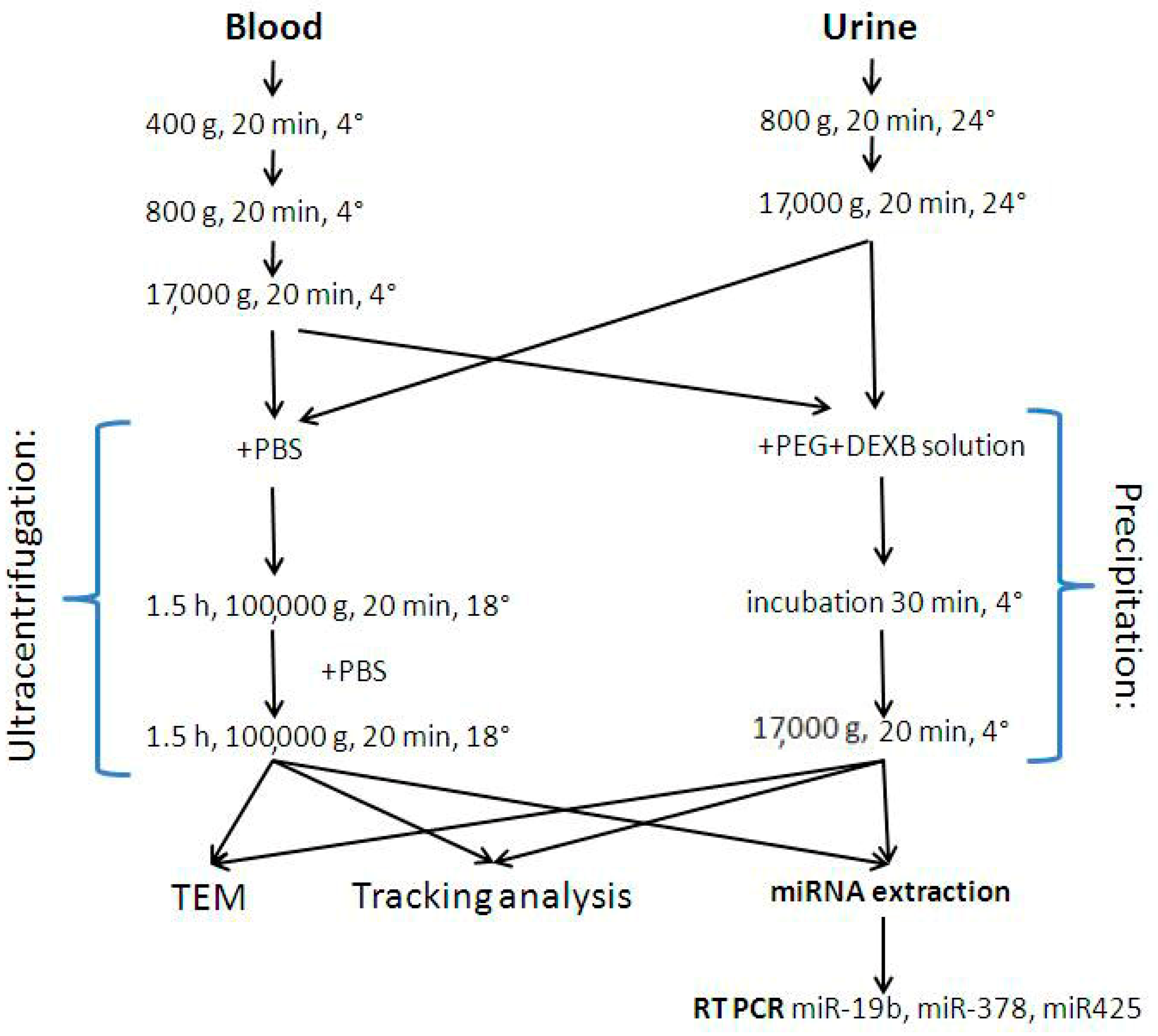 Diagnostics 11 00384 g001 Diagnostics 11 00384 g001
