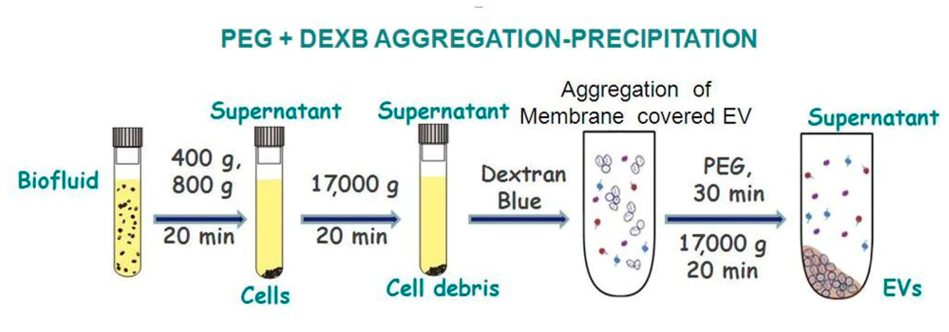Diagnostics 11 00384 g007 Diagnostics 11 00384 g007