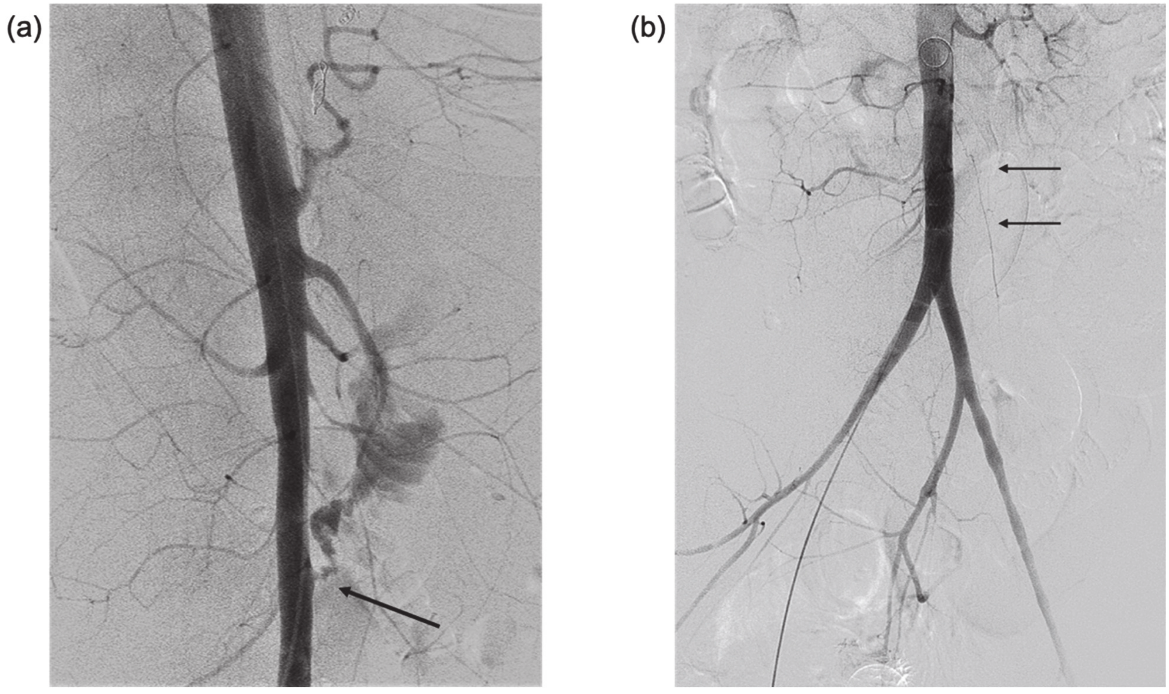 Diagnostics 11 00389 g002