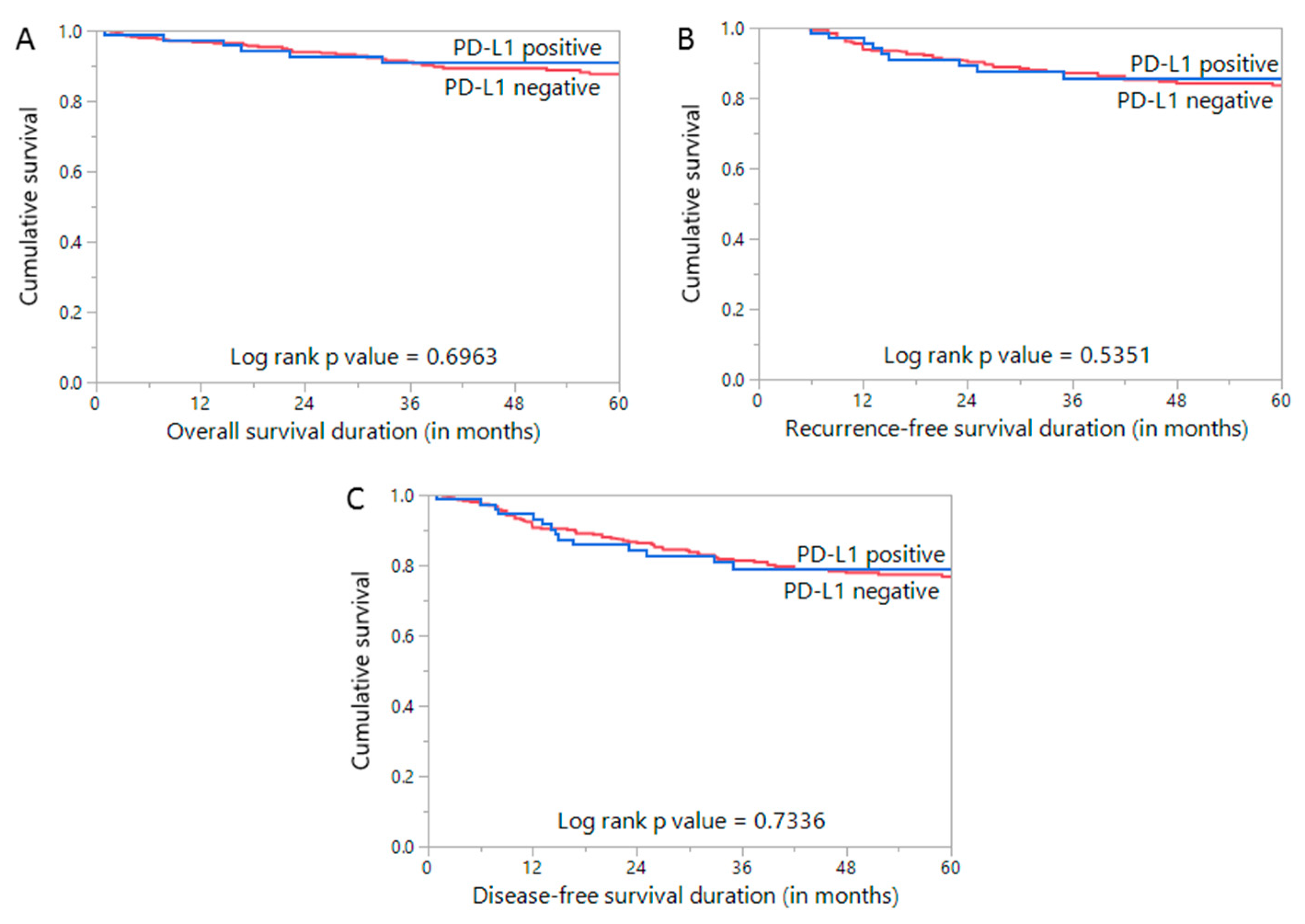 Diagnostics 11 00394 g002