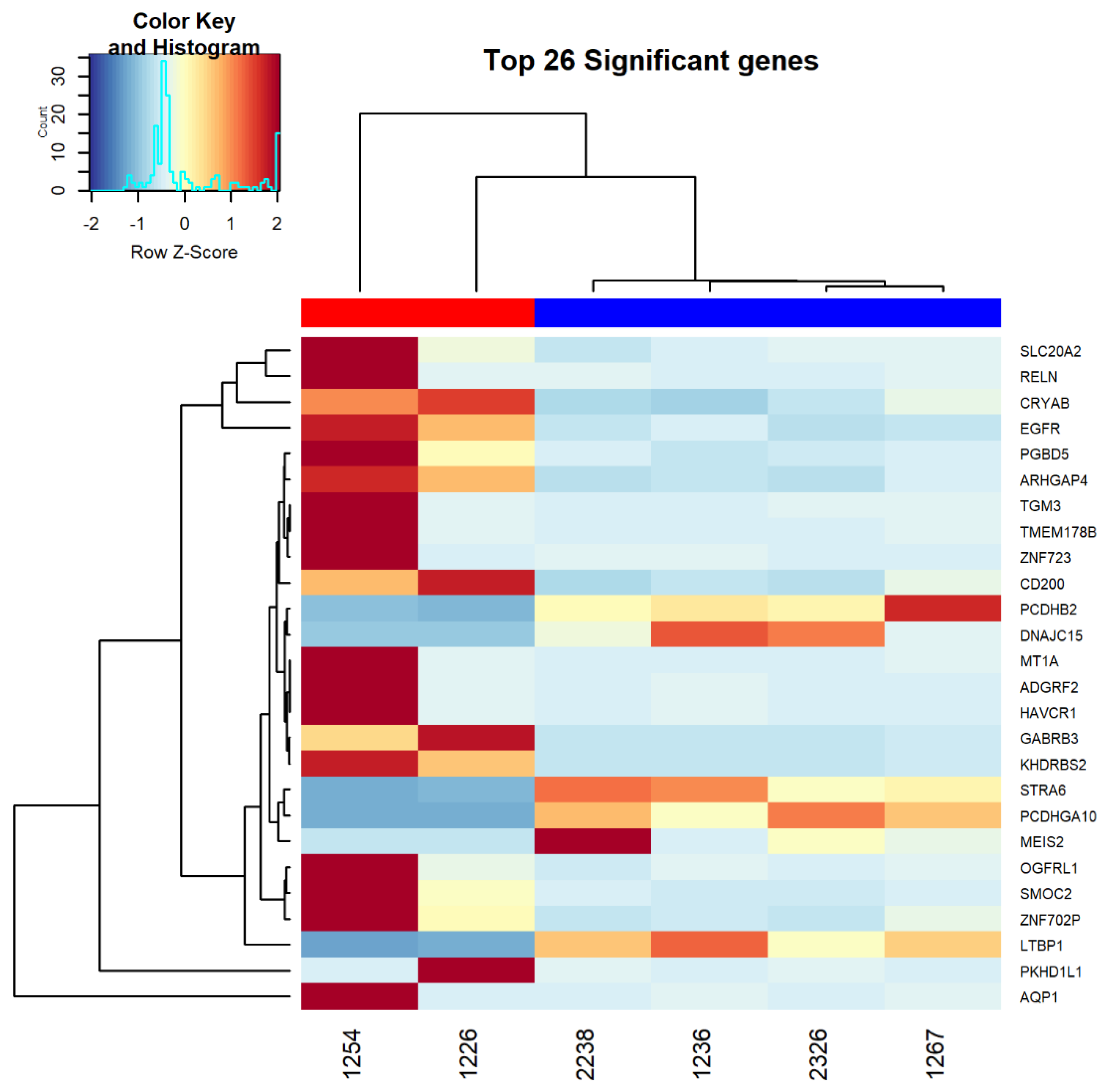 Diagnostics 11 00395 g002