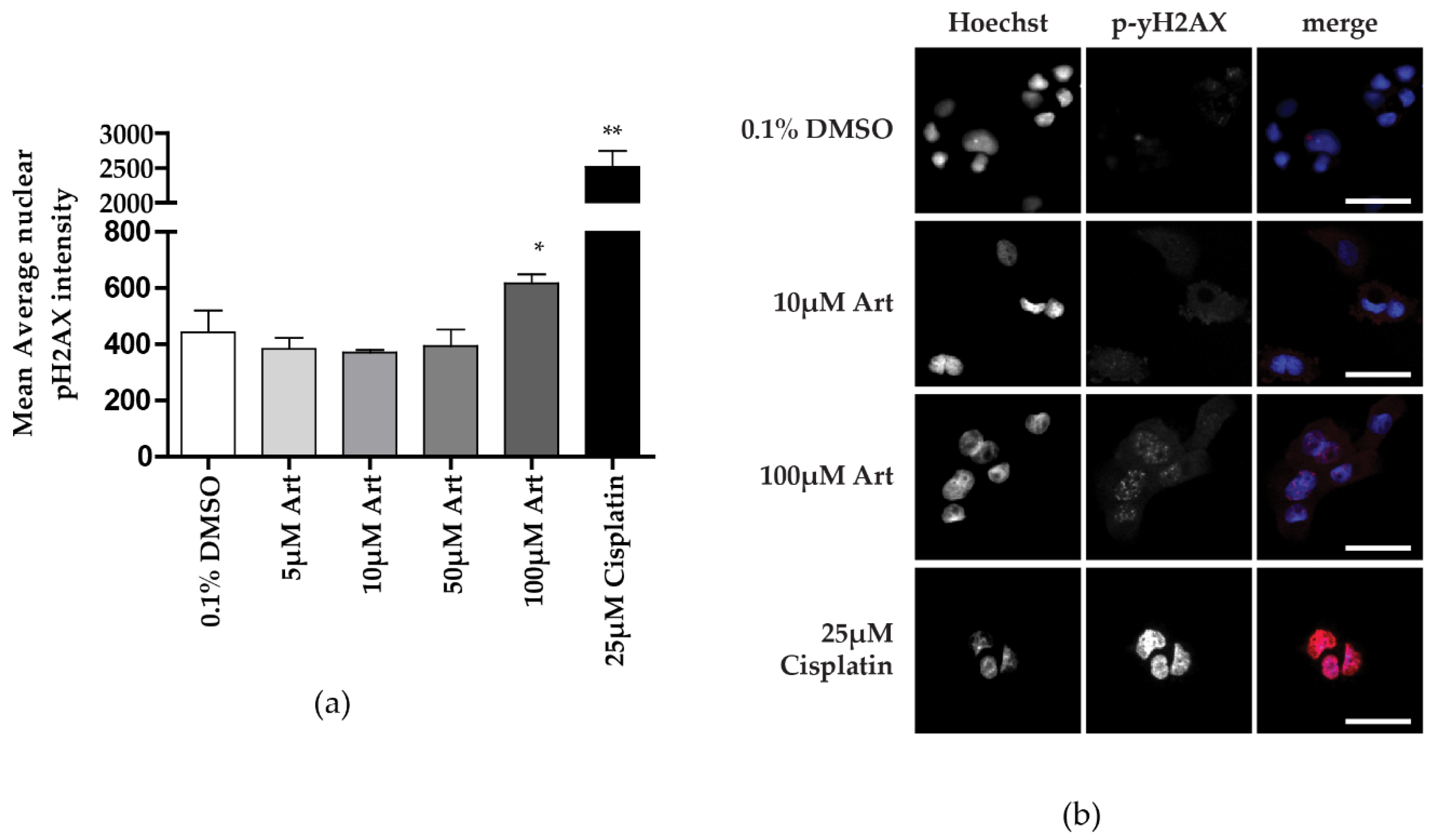 Diagnostics 11 00395 g003