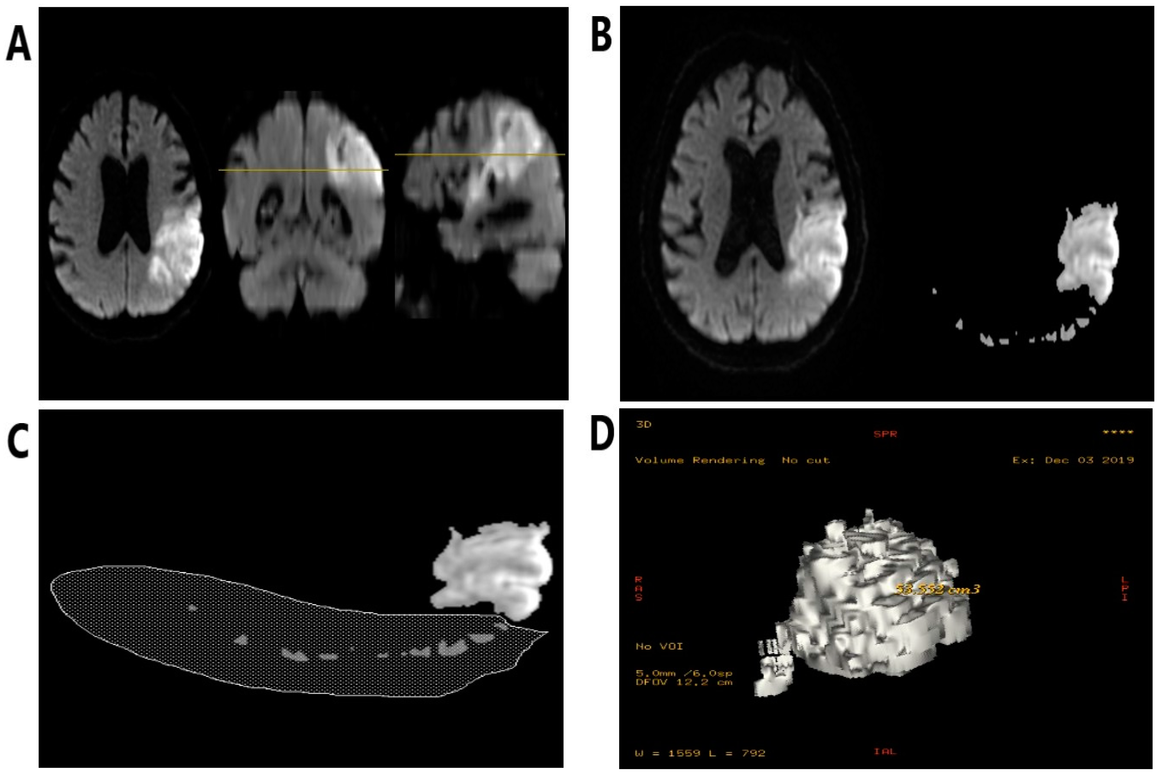 Diagnostics 11 00405 g002