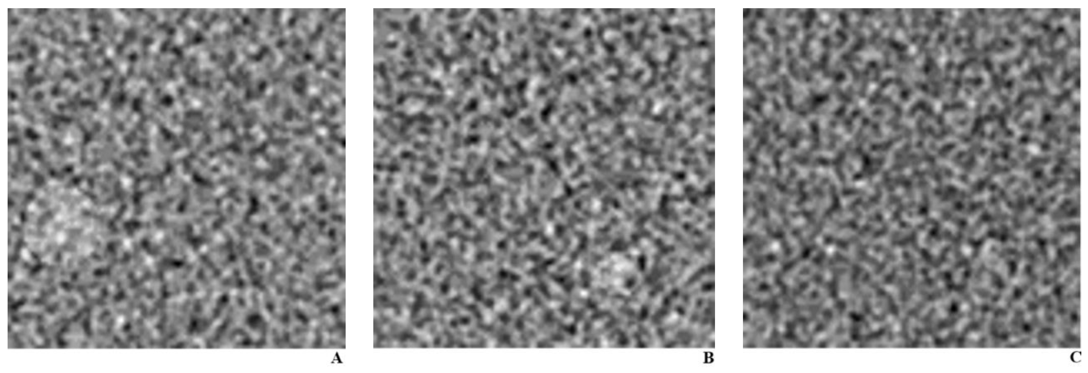 Diagnostics 11 00410 g001