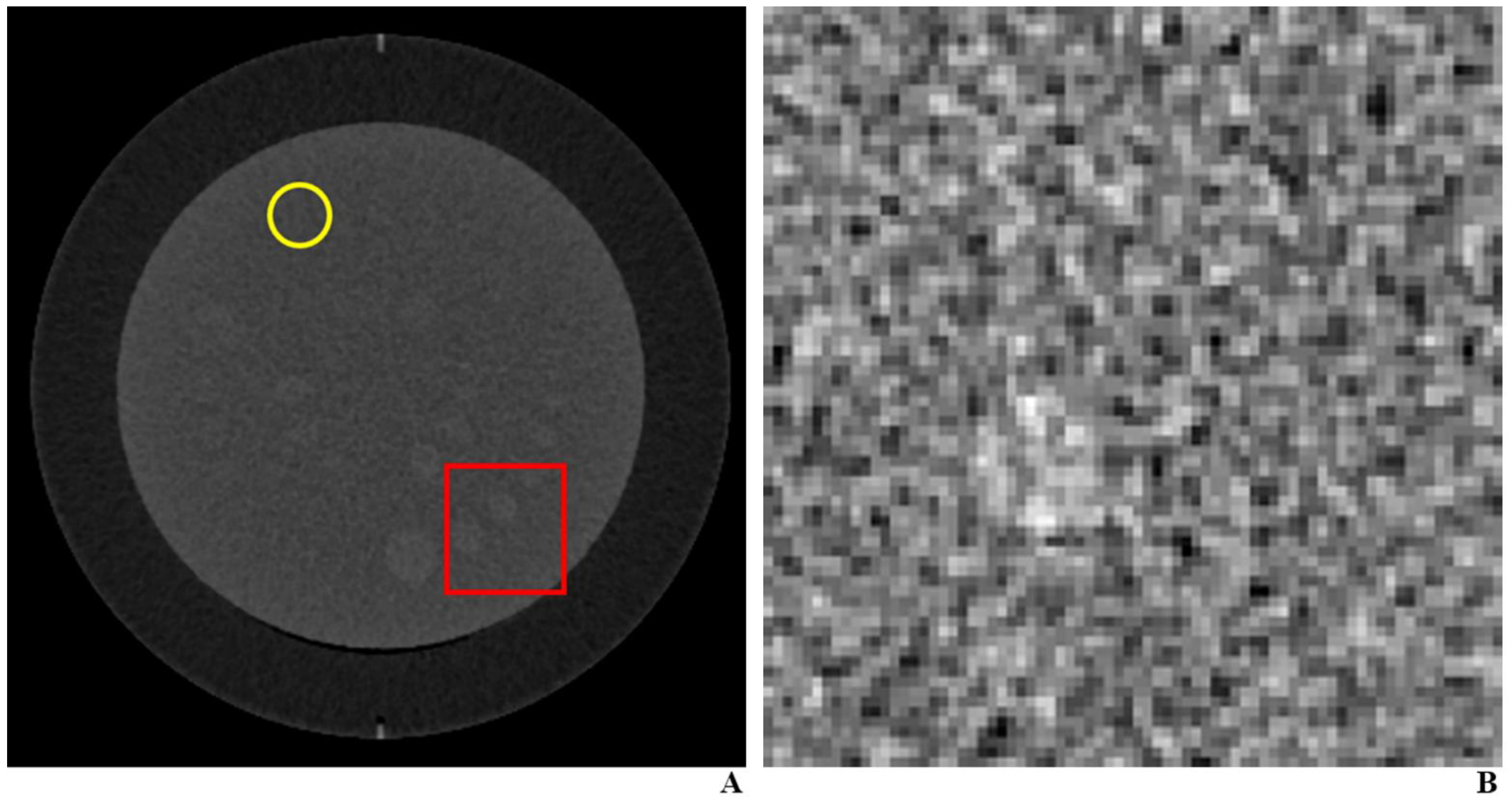 Diagnostics 11 00410 g002