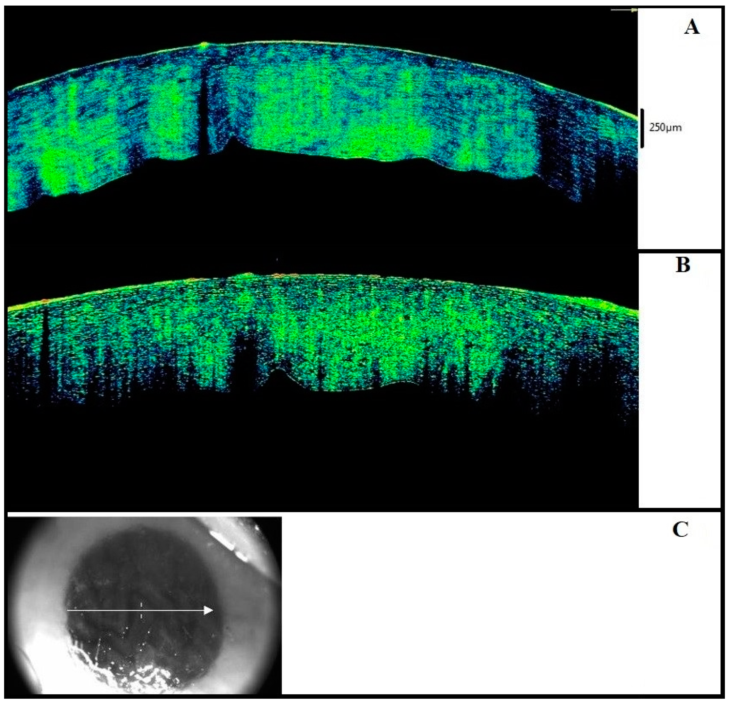 Diagnostics 11 00413 g003 Diagnostics 11 00413 g003