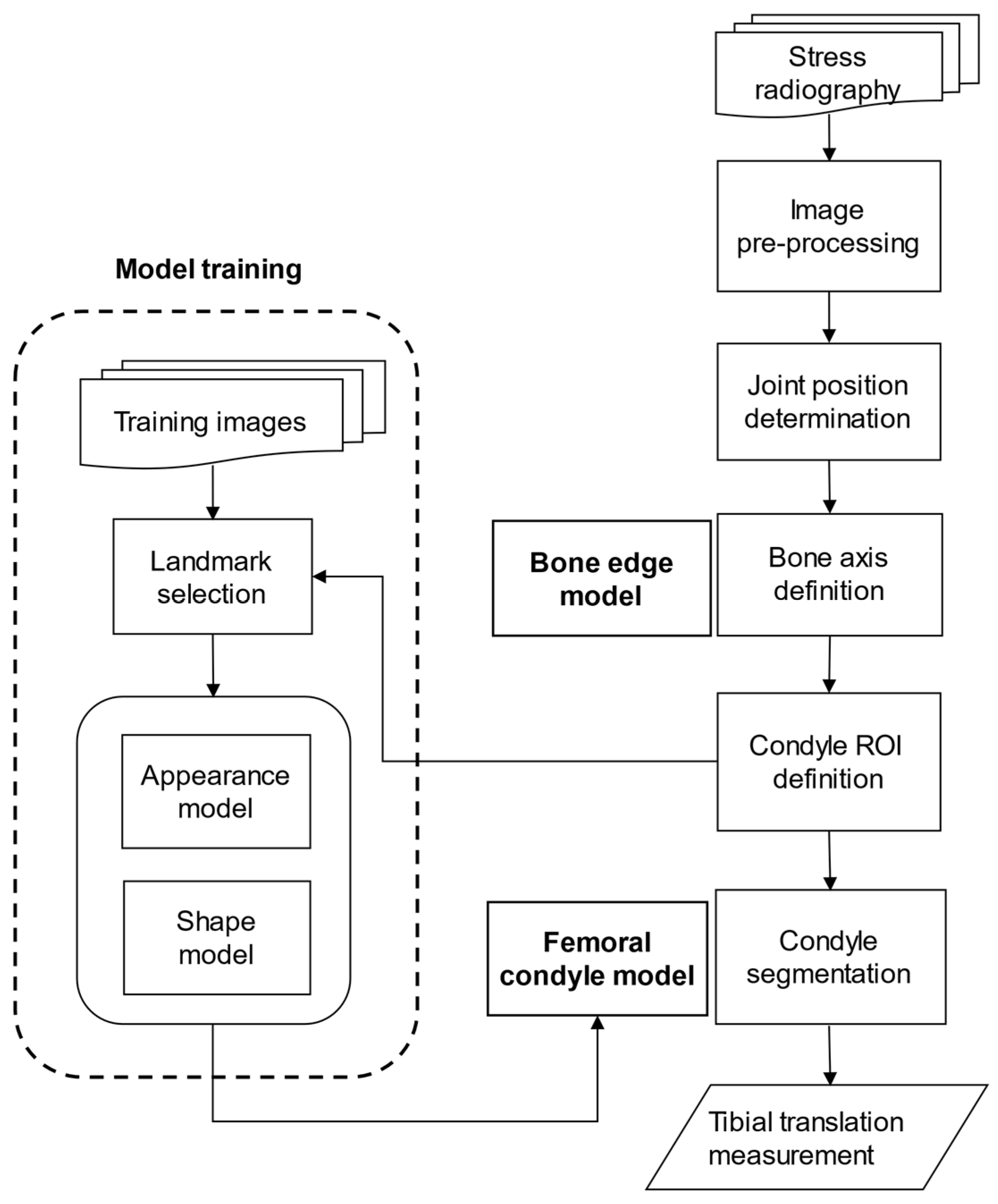 Diagnostics 11 00419 g002 Diagnostics 11 00419 g002