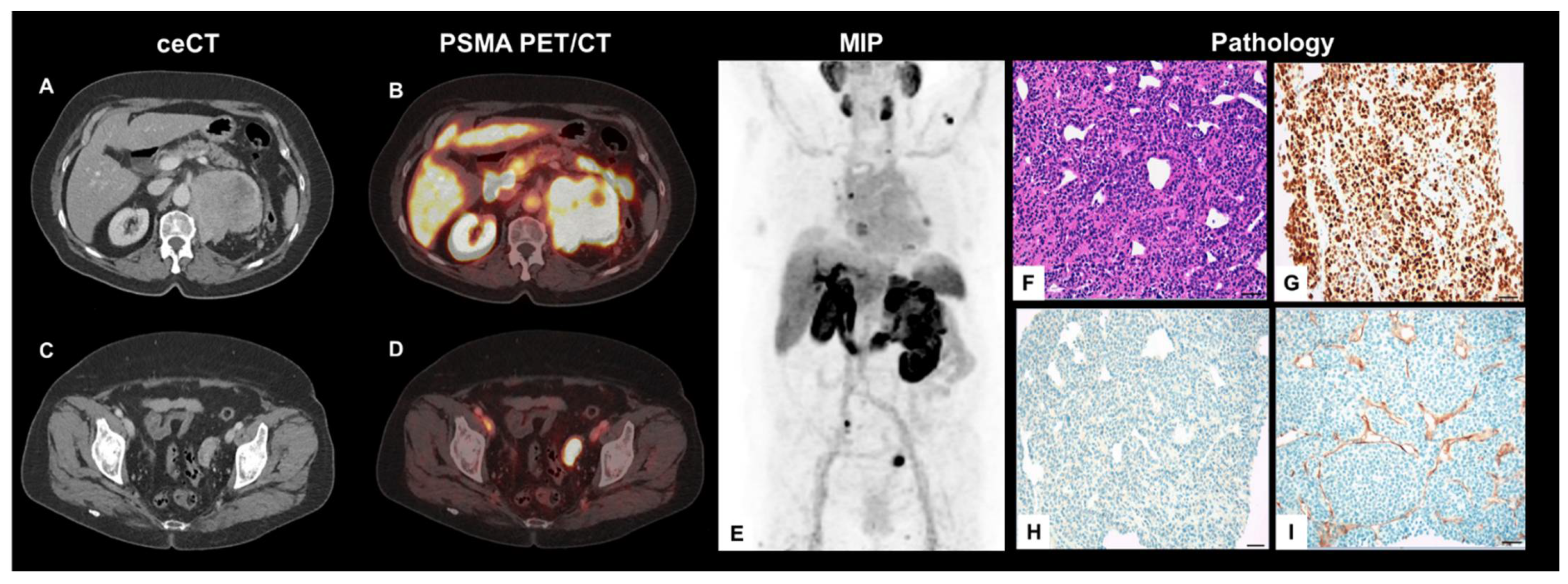 Diagnostics 11 00423 g001 Diagnostics 11 00423 g001